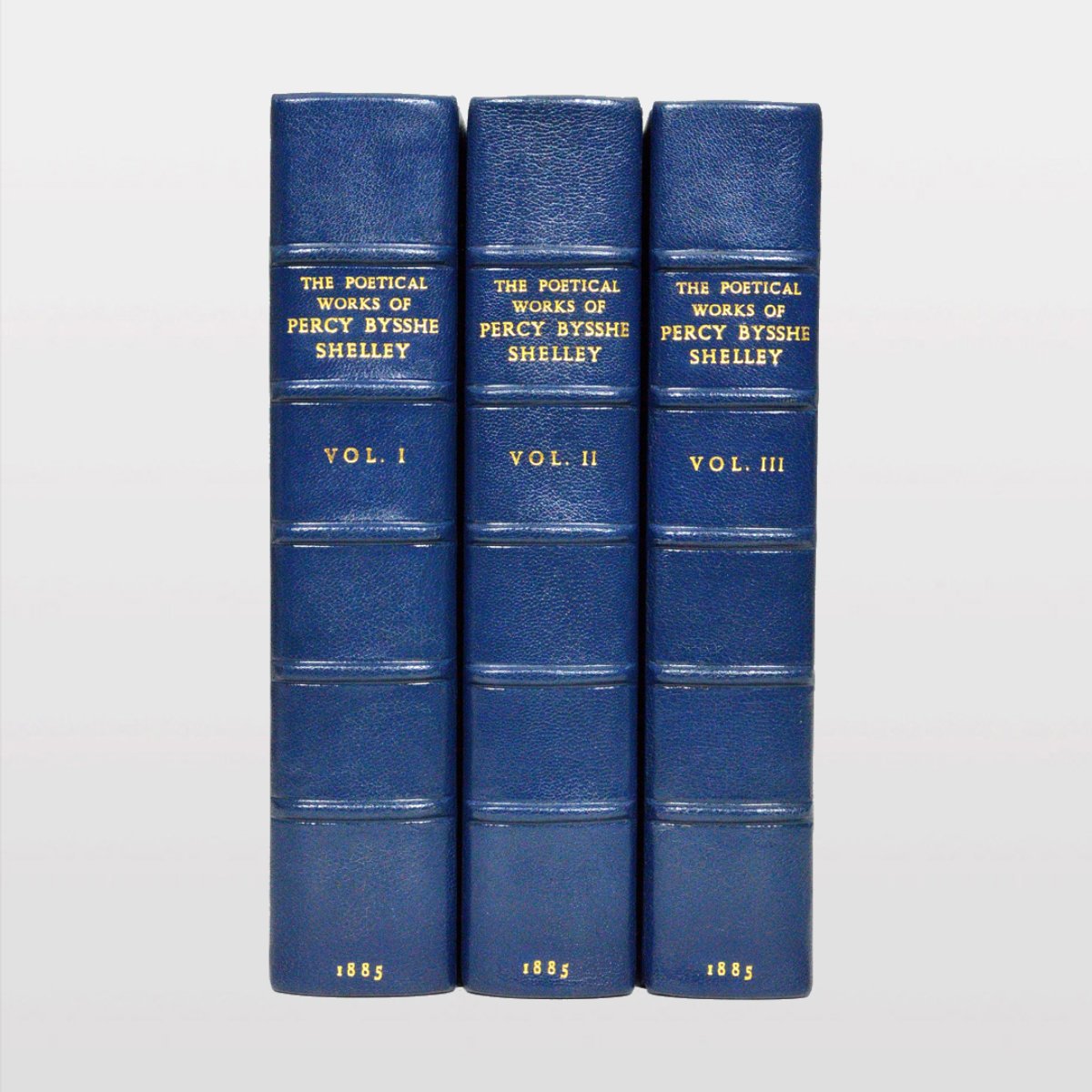 1981[WEB1].jpg