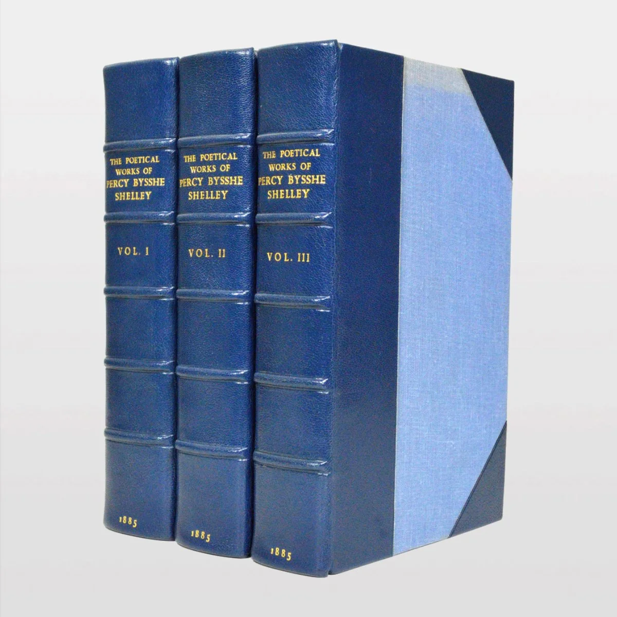 1981[WEB2].jpg