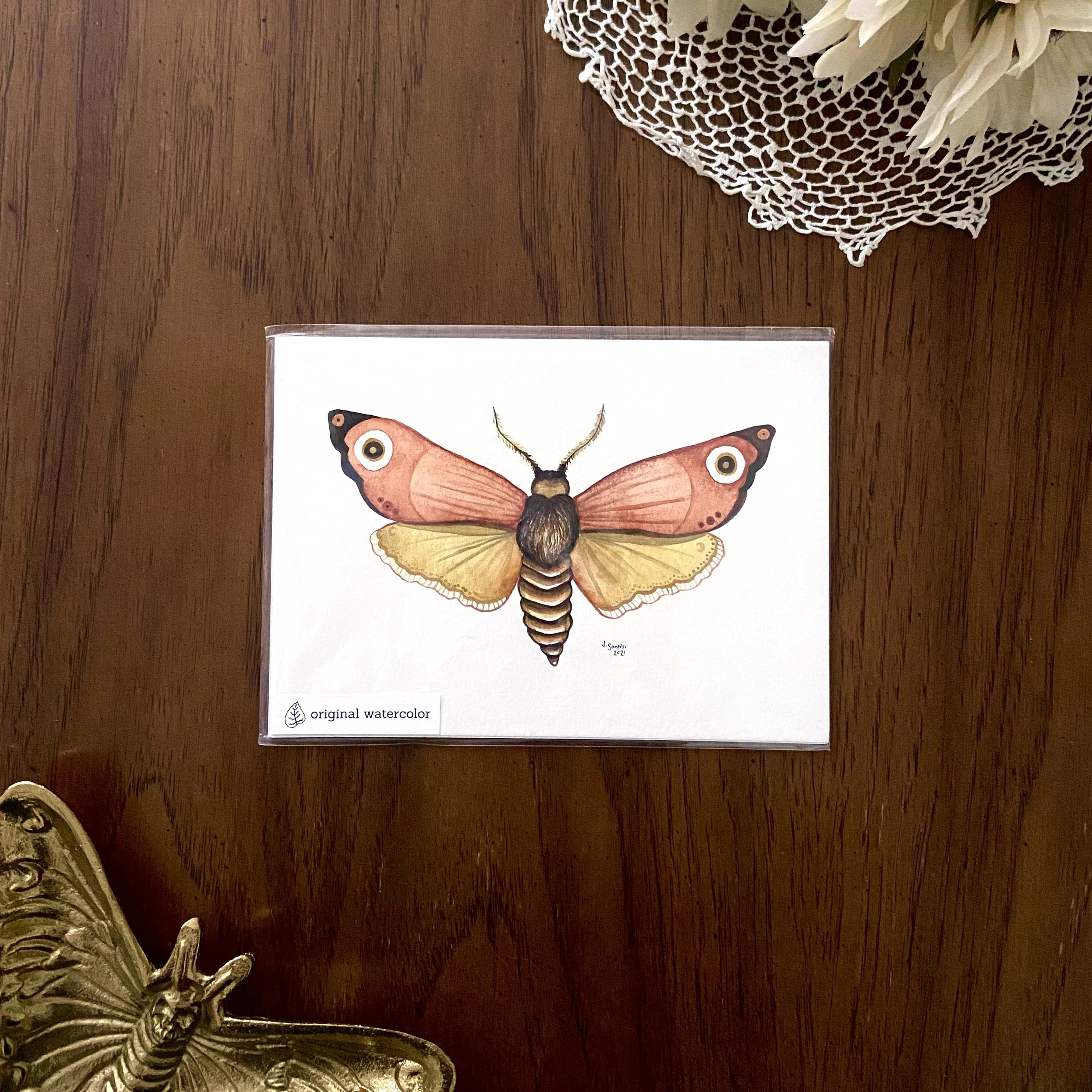 Original Watercolor - Daphne Moth