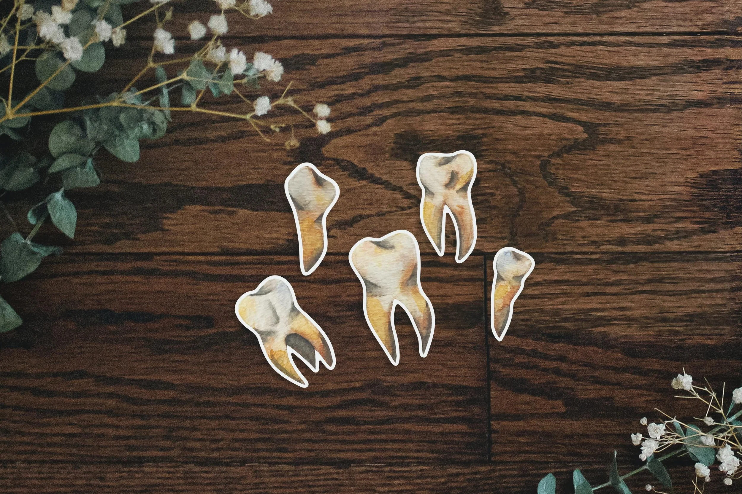 TEEEEEEEFIES 🦷

So far these new stickers have been a &ldquo;hell yes&rdquo; or a &ldquo;hell no&rdquo; for people, but that doesn&rsquo;t deter me from freaking loving them! They come as a wee little sticker sheet, and would be the most perfect cre