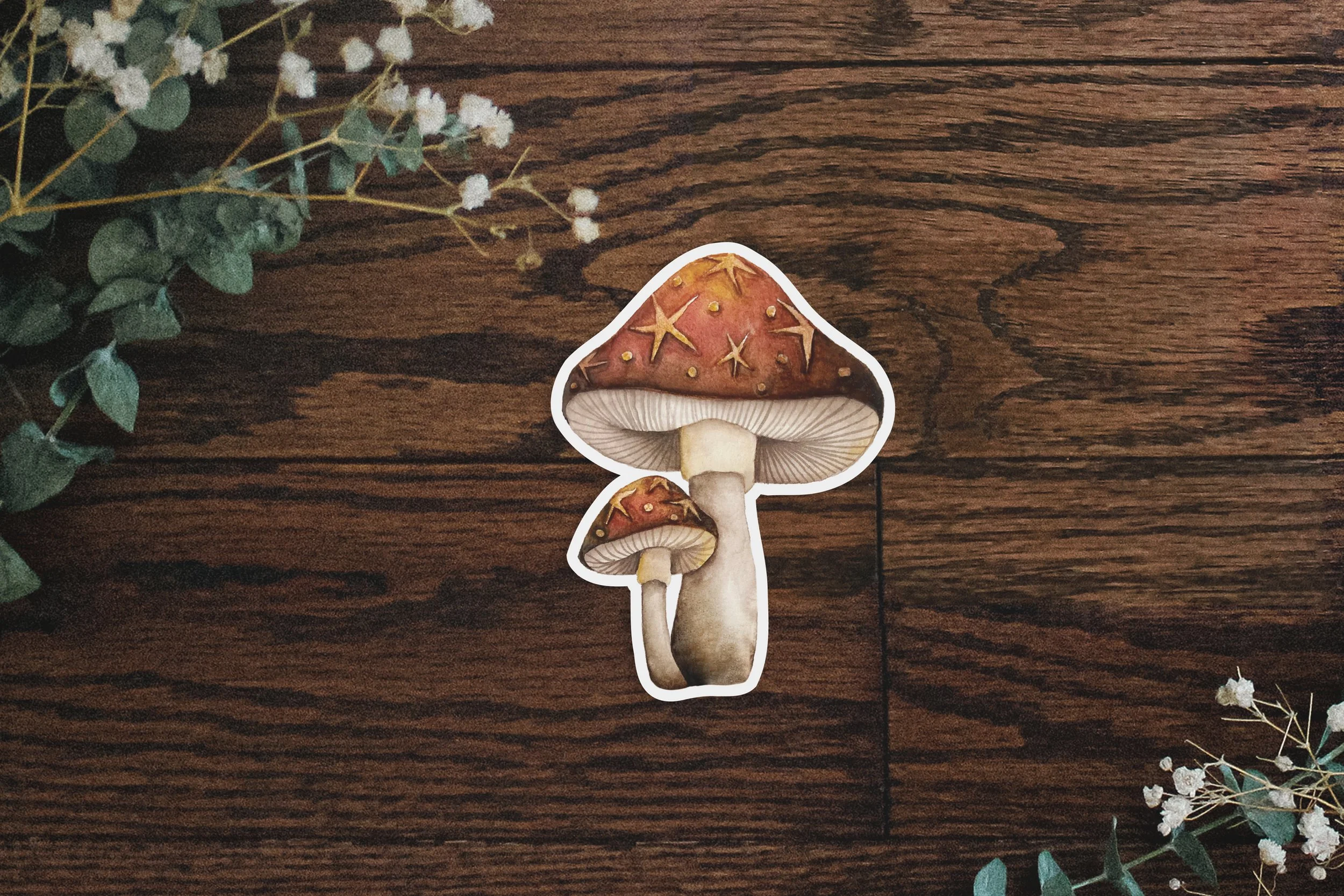 SJ_Sticker_Mockup_StarMushrooms.jpg