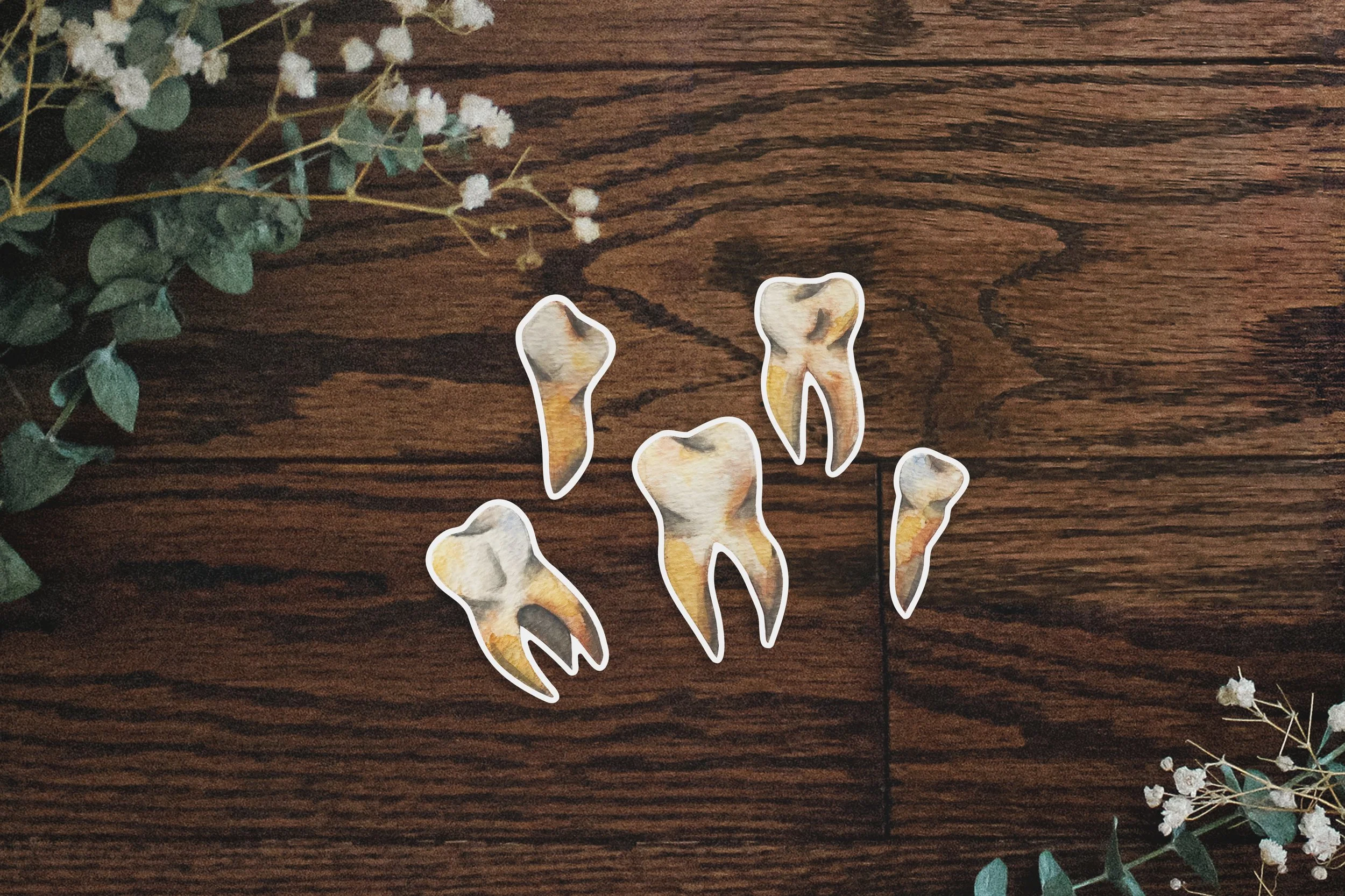 SJ_Sticker_Mockup_Teeth.jpg