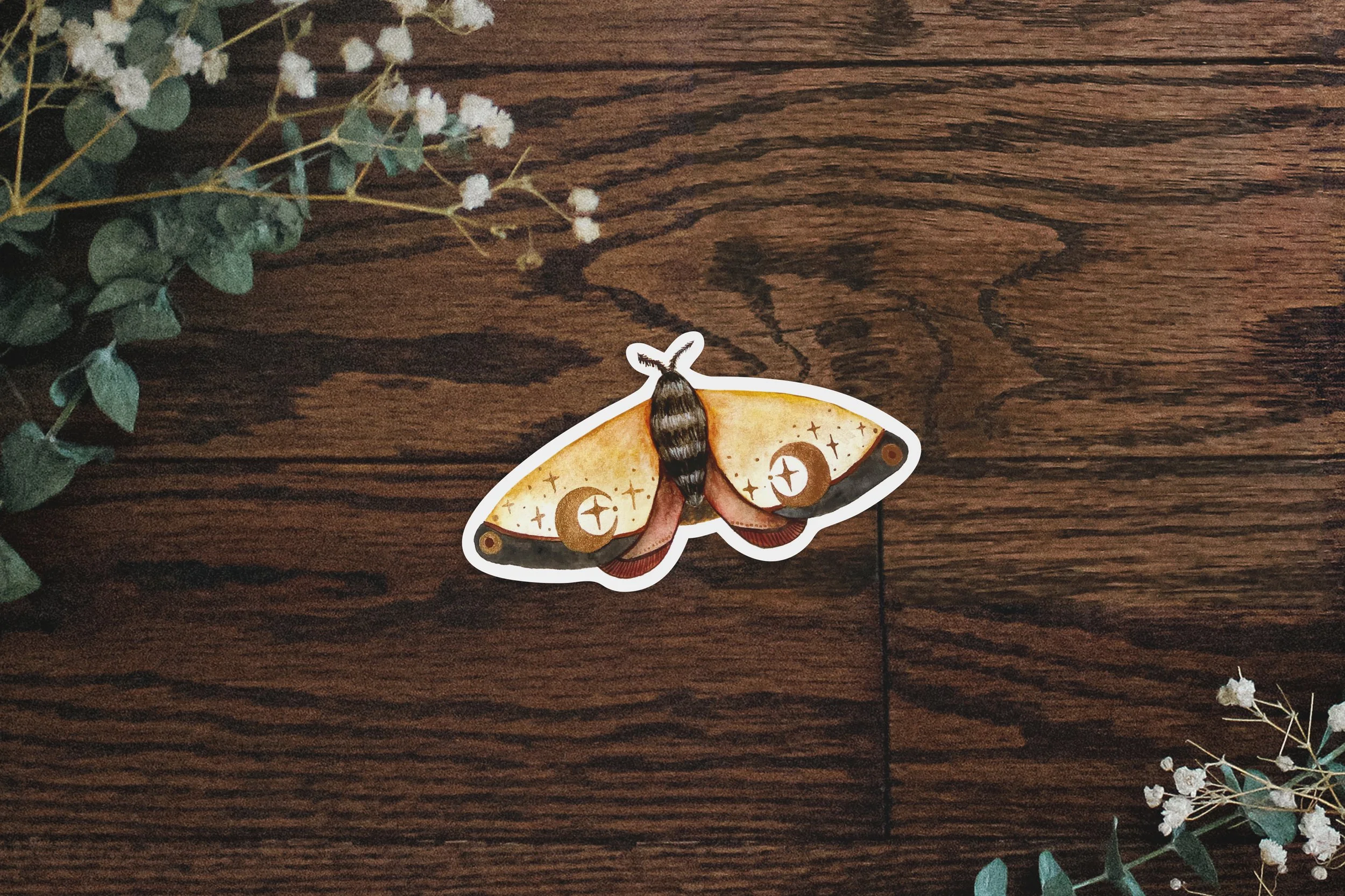 SJ_Sticker_Mockup_CrescentMoth.jpg