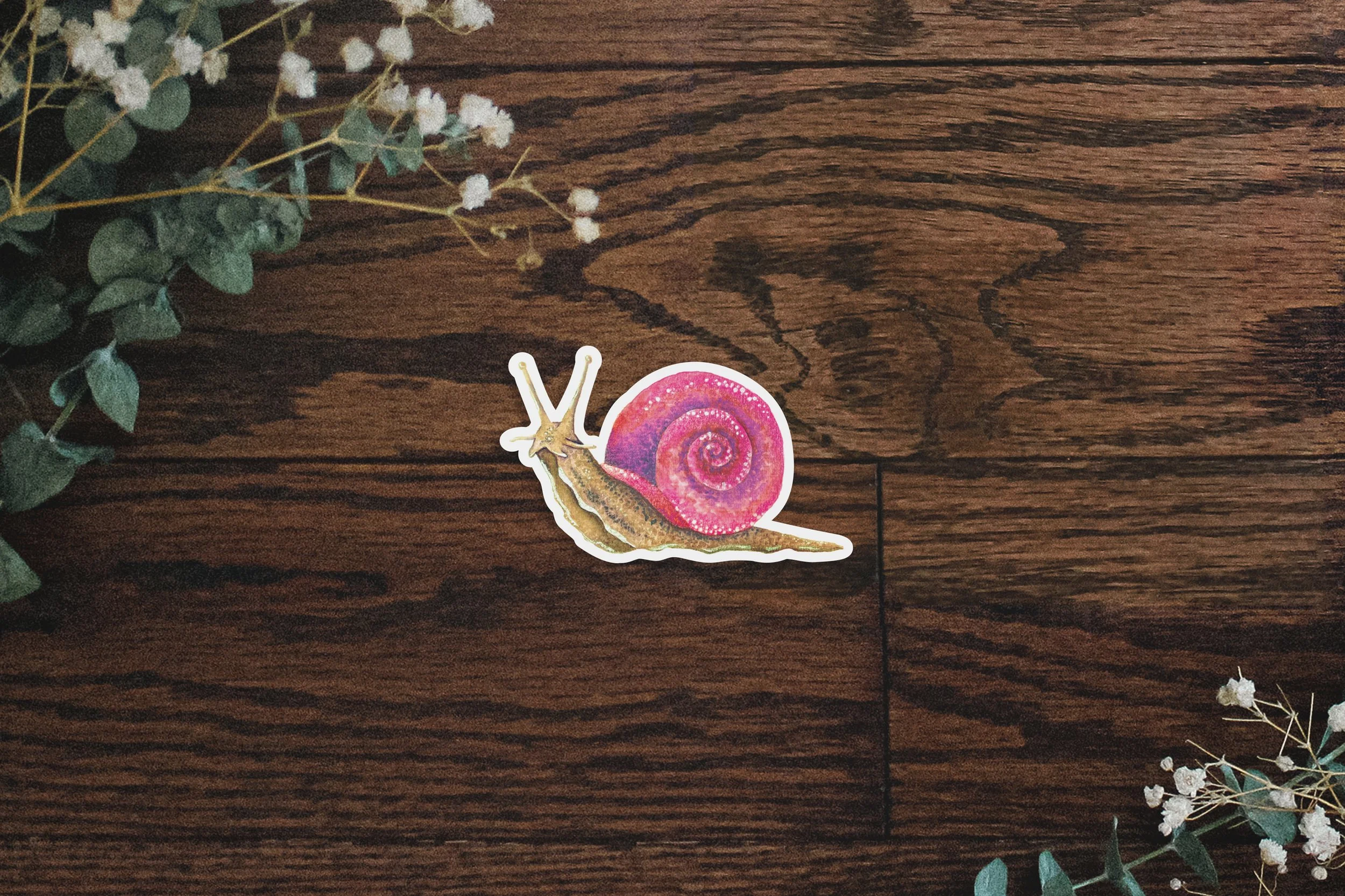 SJ_Sticker_Mockup_PinkSnail.jpg