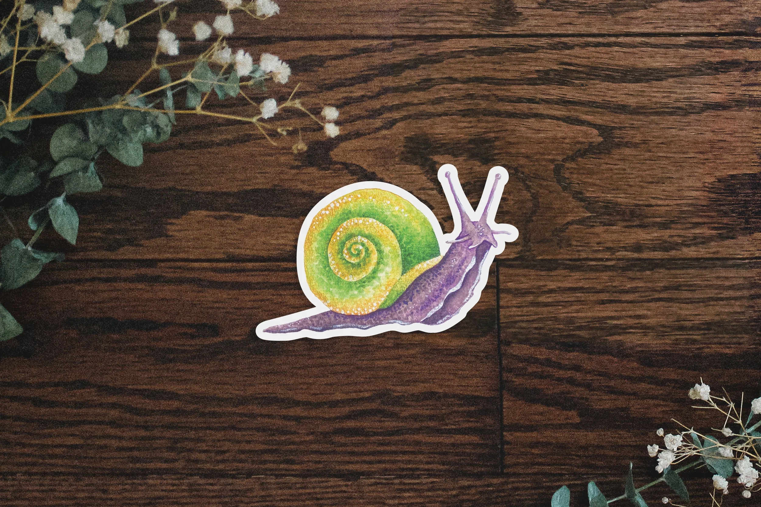 SJ_Sticker_Mockup_GreenSnail.jpg
