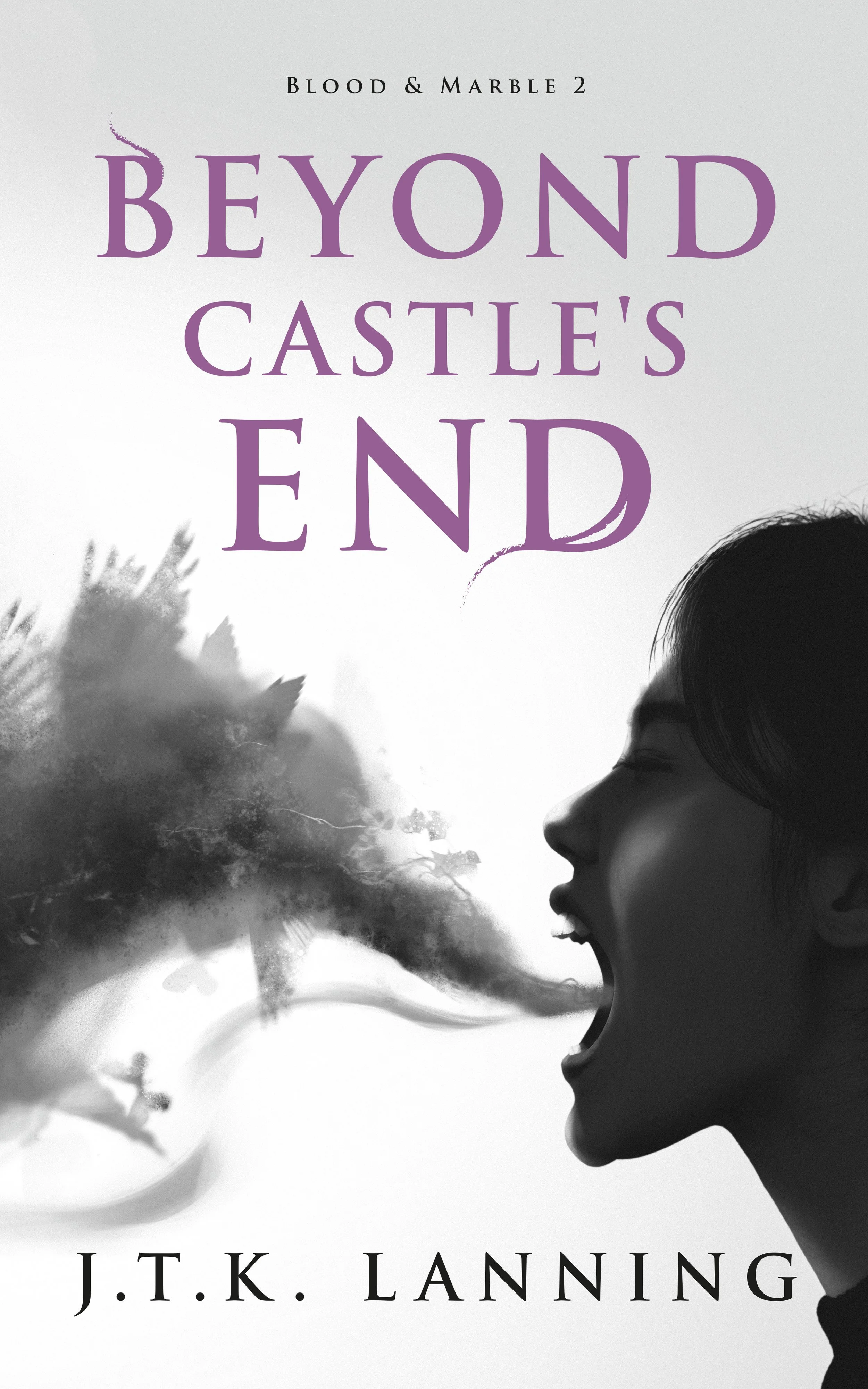 Beyond Castle's End - Blood & Marble Book 2