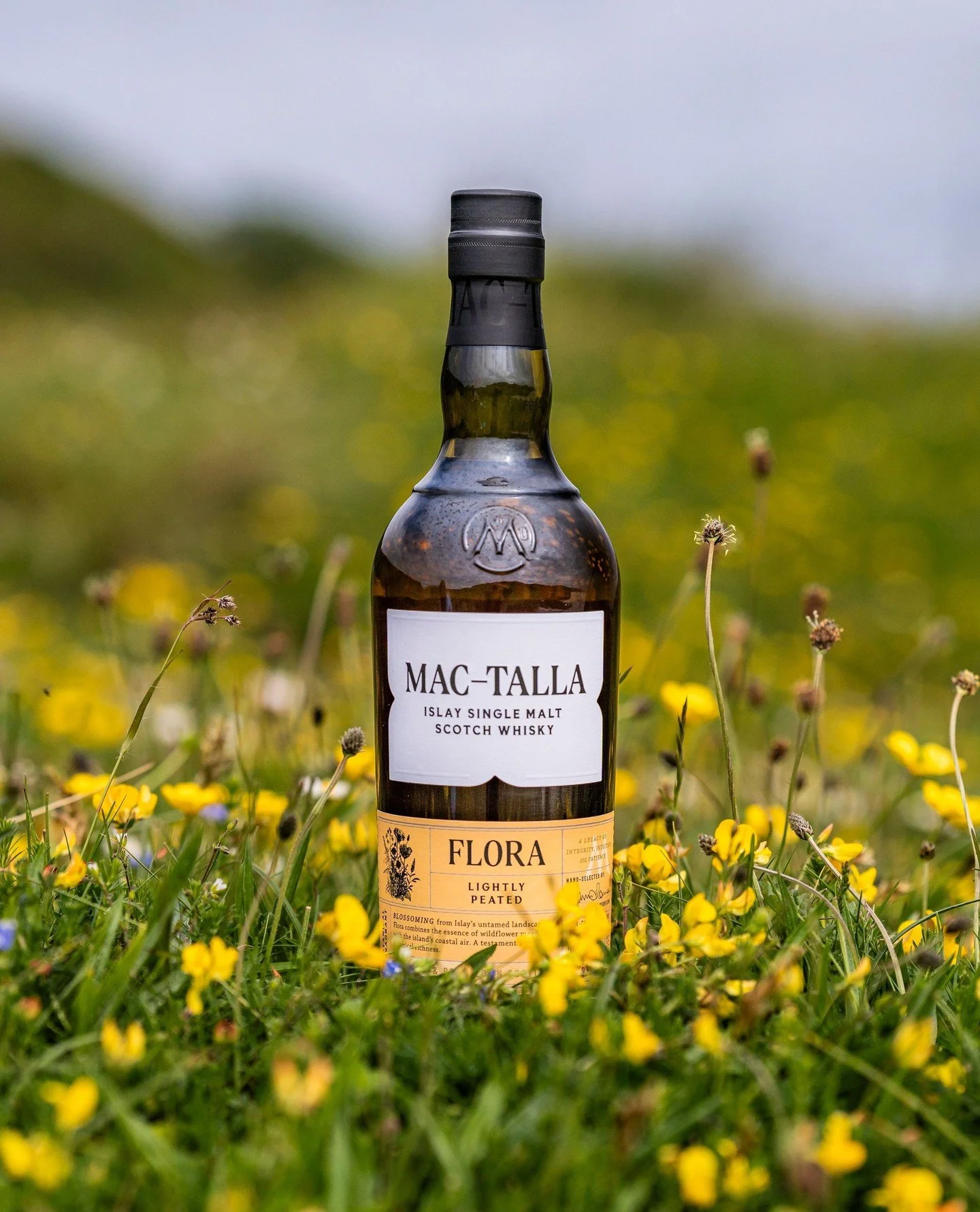 Blossoming from Islay&rsquo;s untamed landscape, Flora combines the essence of wildflower meadows with the island&rsquo;s coastal air. A testament to Islay&rsquo;s botanical richness.🥃🌷🌼🌻⁠
-⁠
-⁠
-⁠
-⁠
-⁠
#islay #mactalla #scotch #whisky #whiskey 