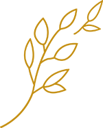 Leaf logo Vitalis Coaching and Therapy