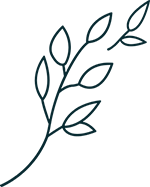 Blue drawing of leaf logo Vitalis