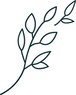Blue leaf drawing, logo of Vitalis
