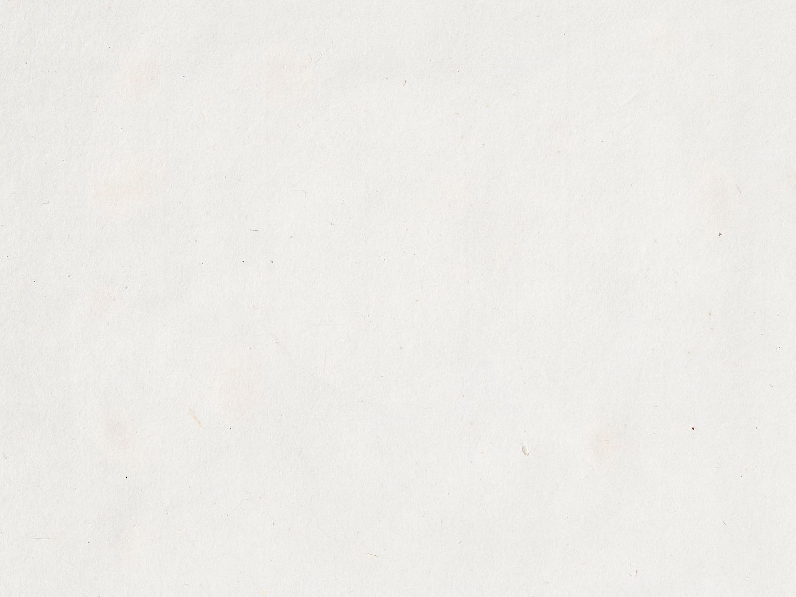 Paper_2_Large.jpg