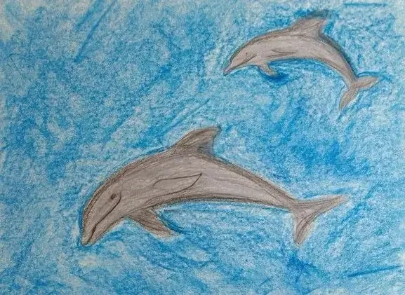 Drawing dolphins review reconnecting with playfulness