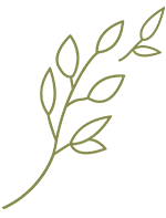 Green leaf logo Vitalis