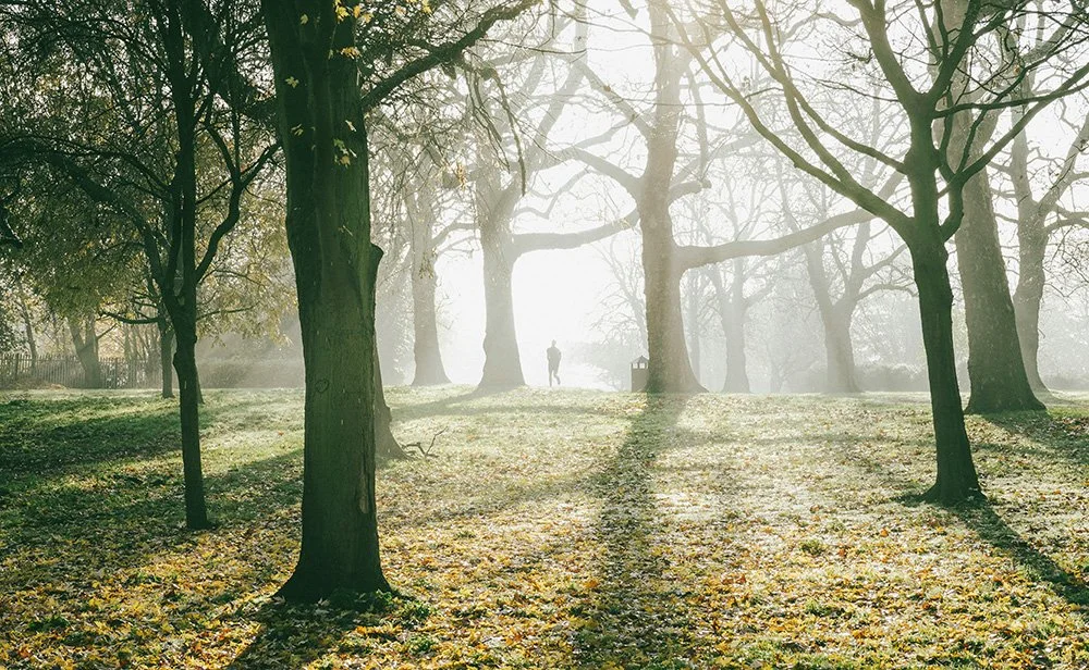 Man walking in winter park with sunshine