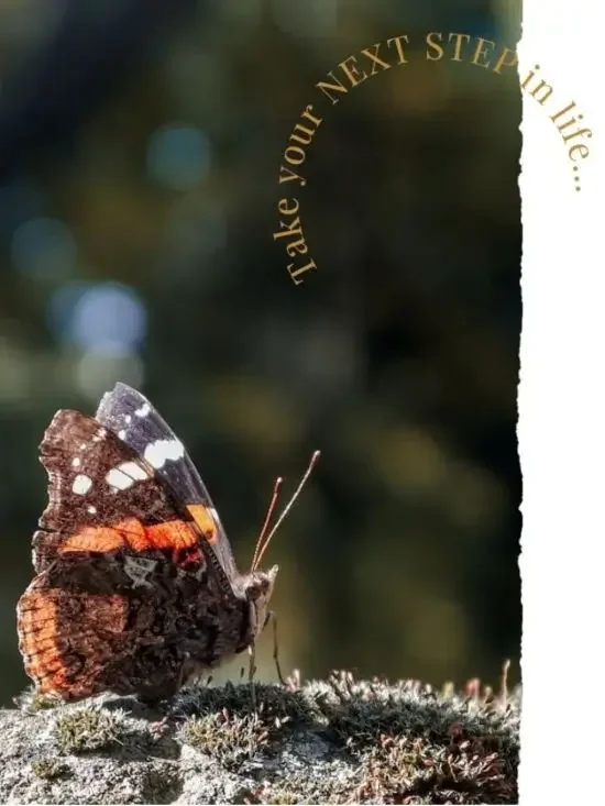 Butterfly and text take your next step in life