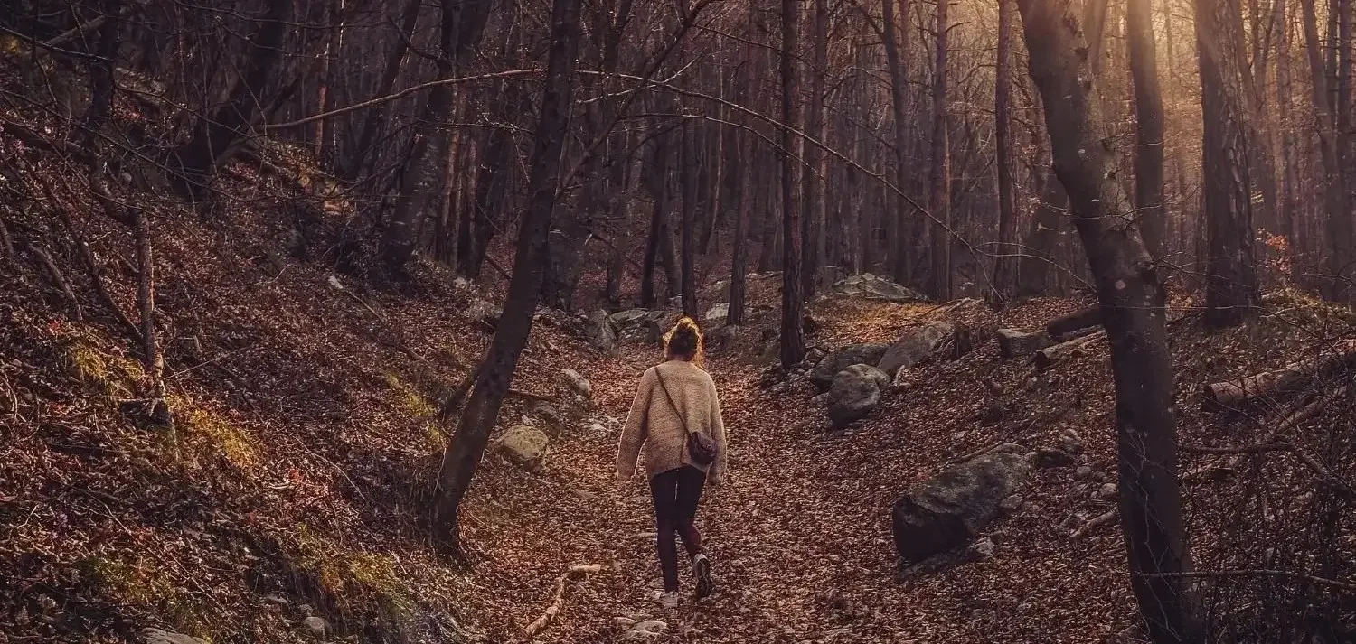 Woman walking through forest