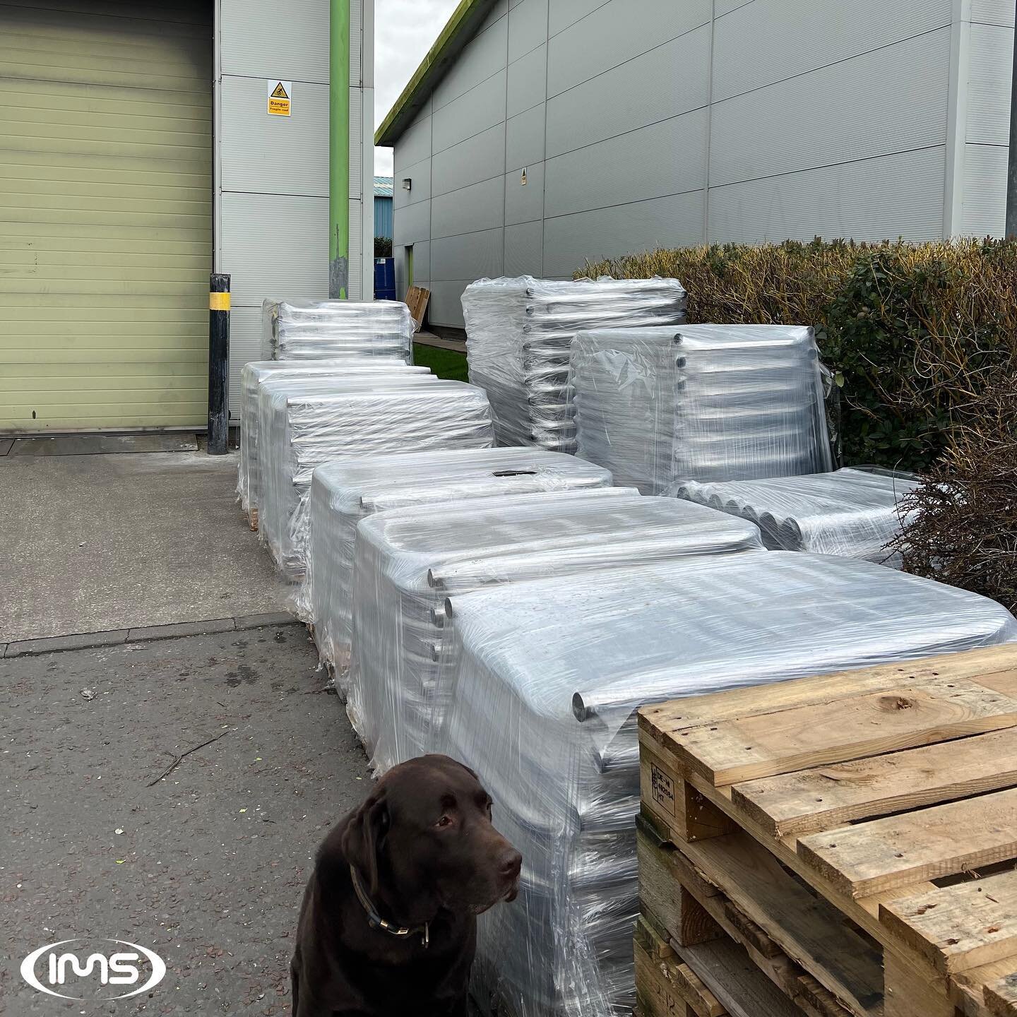 Big boss Marley guarding the goods before despatch! 👷&zwj;♂️🐶

#stainlesssteel #cyclestands #lastdayofthemonth #gogogo