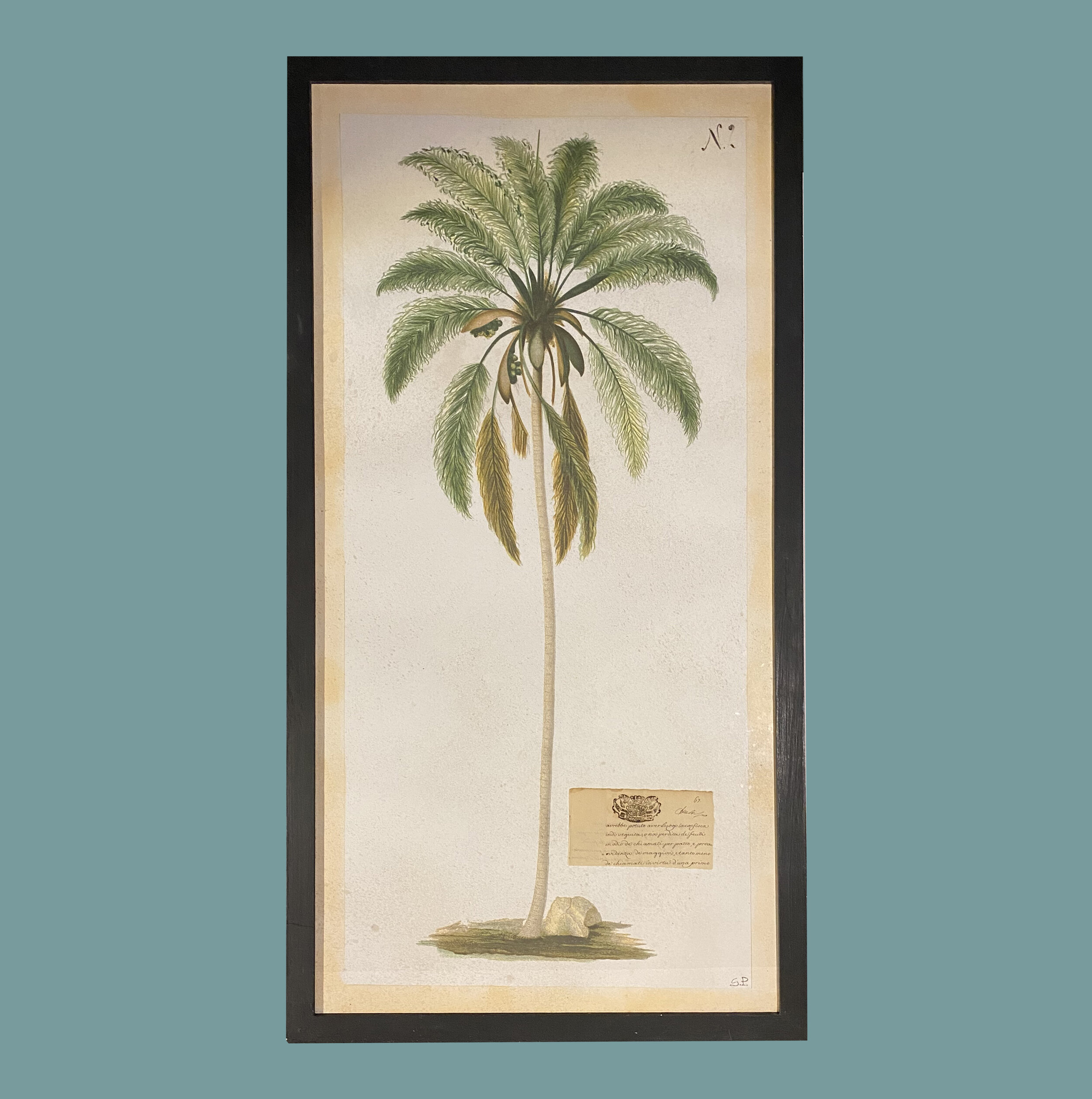 palm 60x115 2.jpg