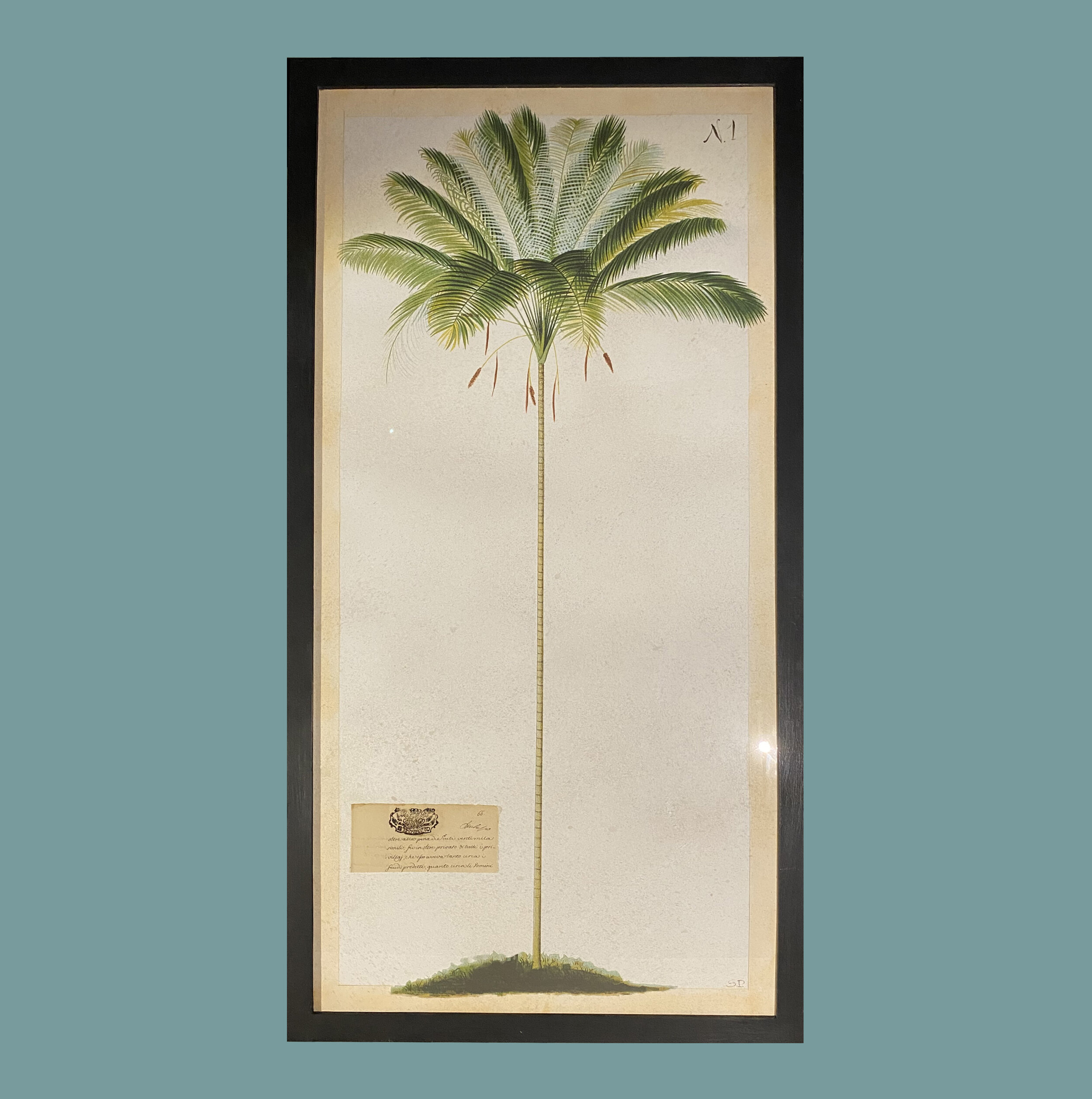 palm 60x115 1.jpg