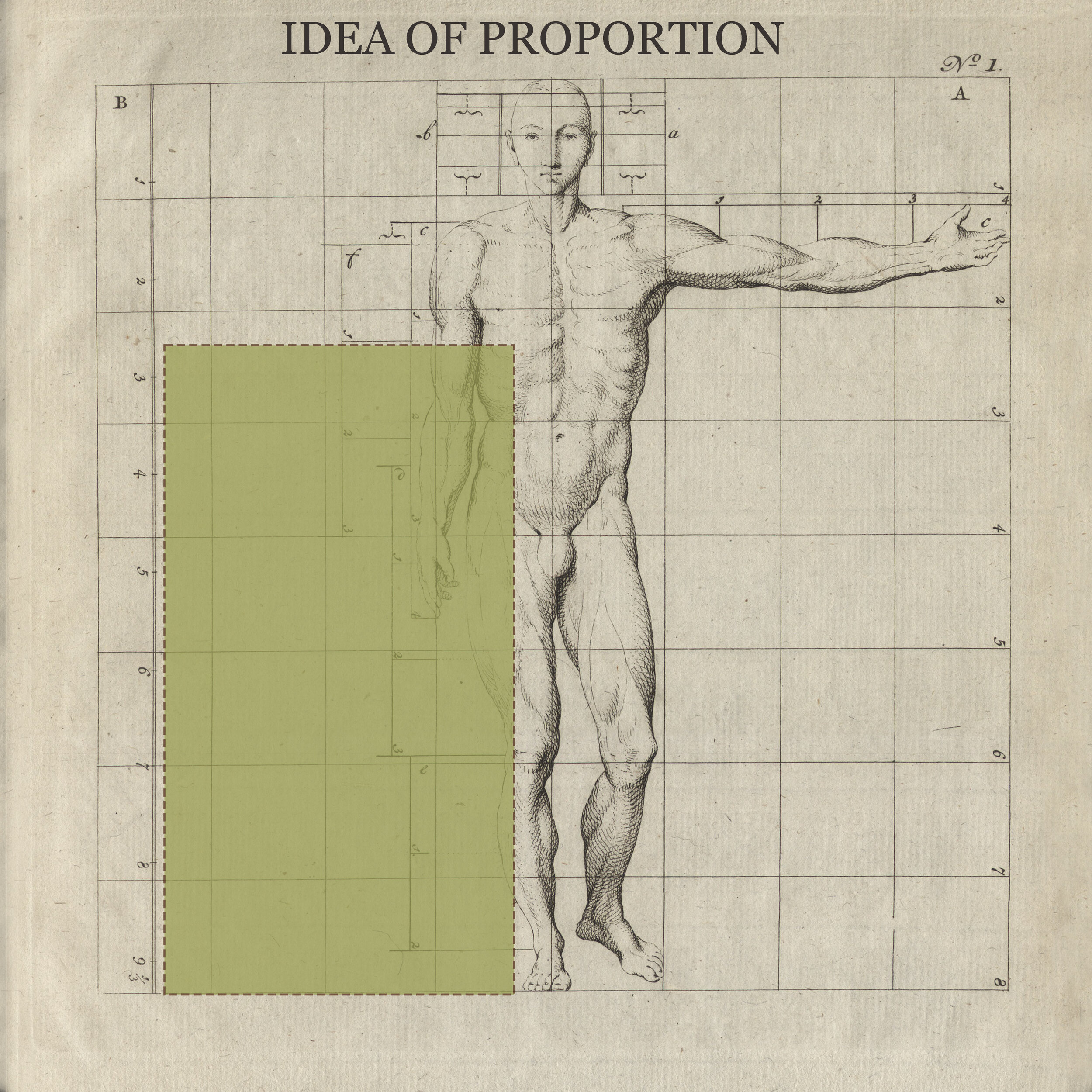 proportion 74x130.jpg