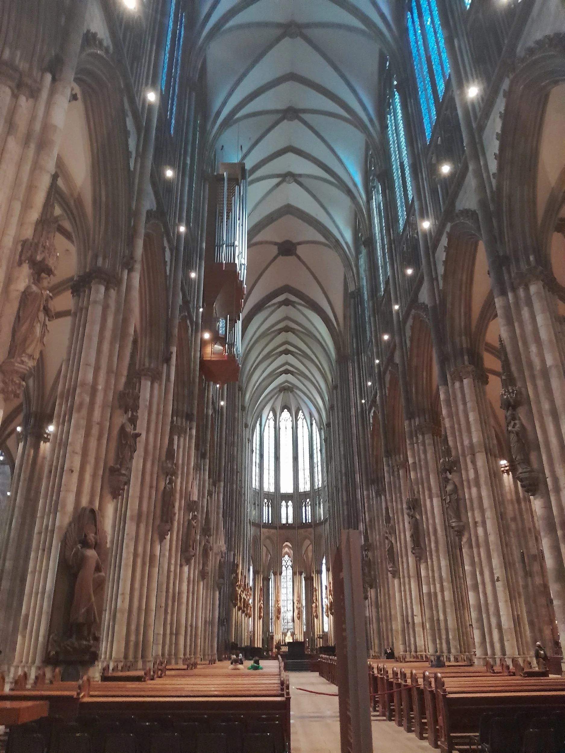 20230203_140642.jpeg