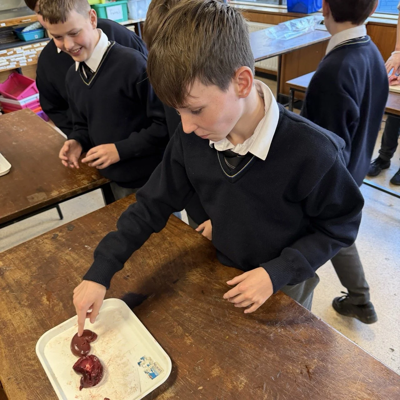 Packed Programme Of Events For Science Week 🔬🧑‍🔬