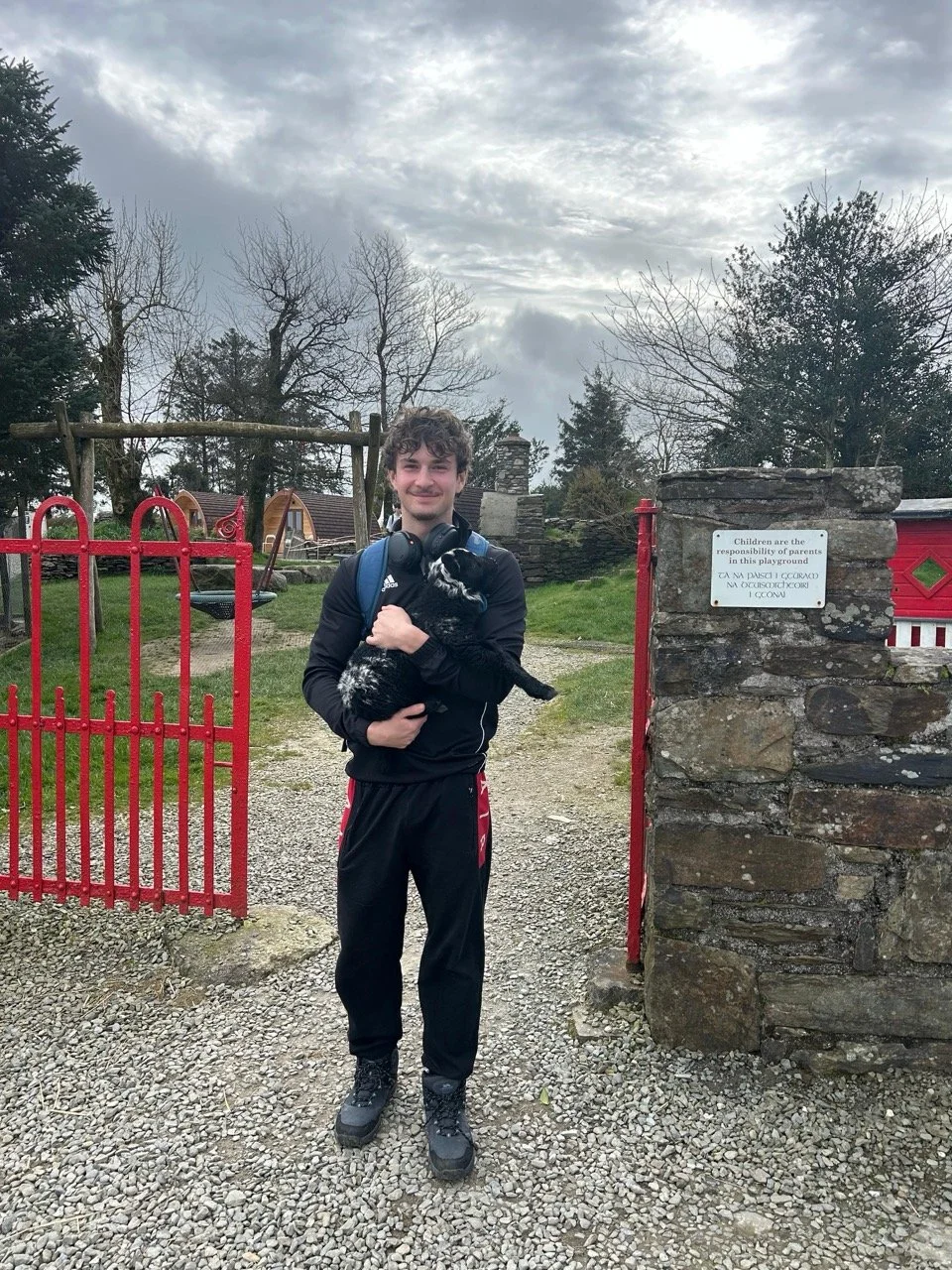 3bb176b1-4933-4f90-bf47-b9dffc9c687f Large.jpeg