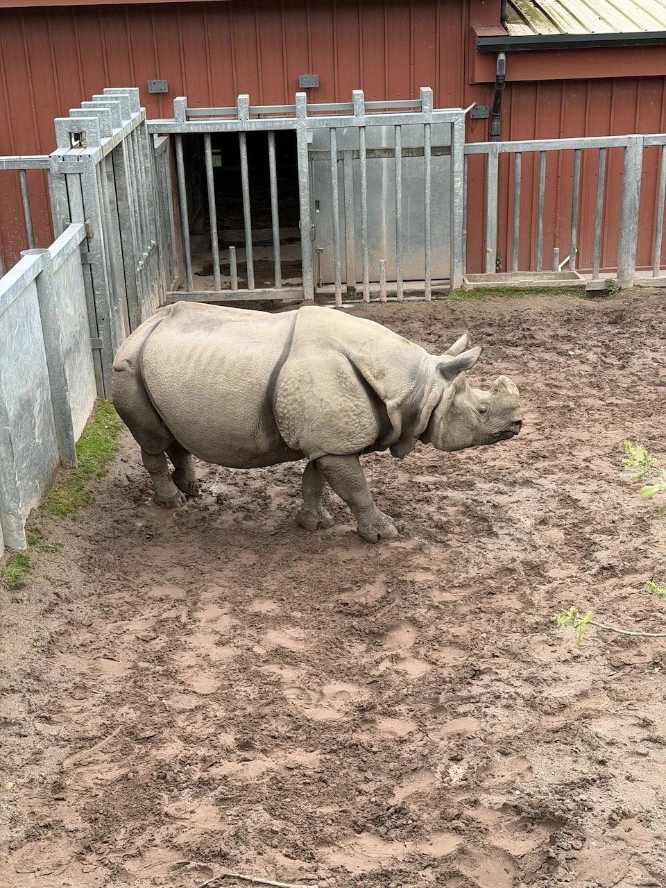 First Year Fun and Learning at Fota!