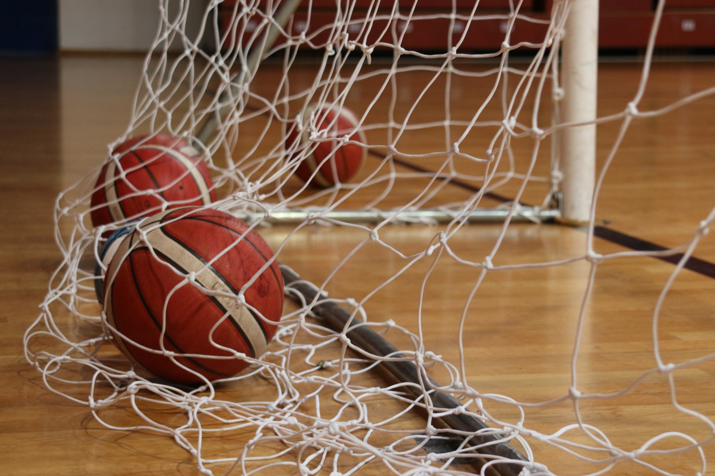 IL CORPO SPORTIVO (2026)