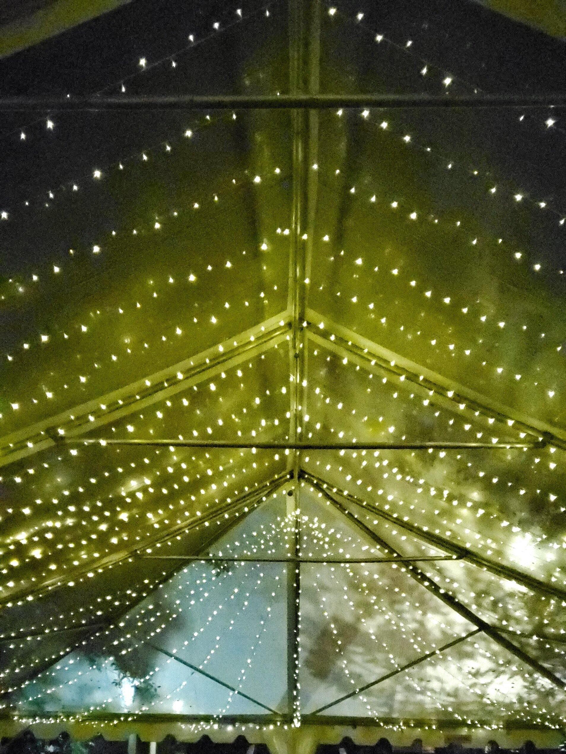 20201106_211630.jpg