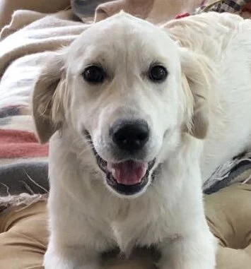 9F907CF7-AB62-4AD1-A980-E7396C28A641 (1).jpeg