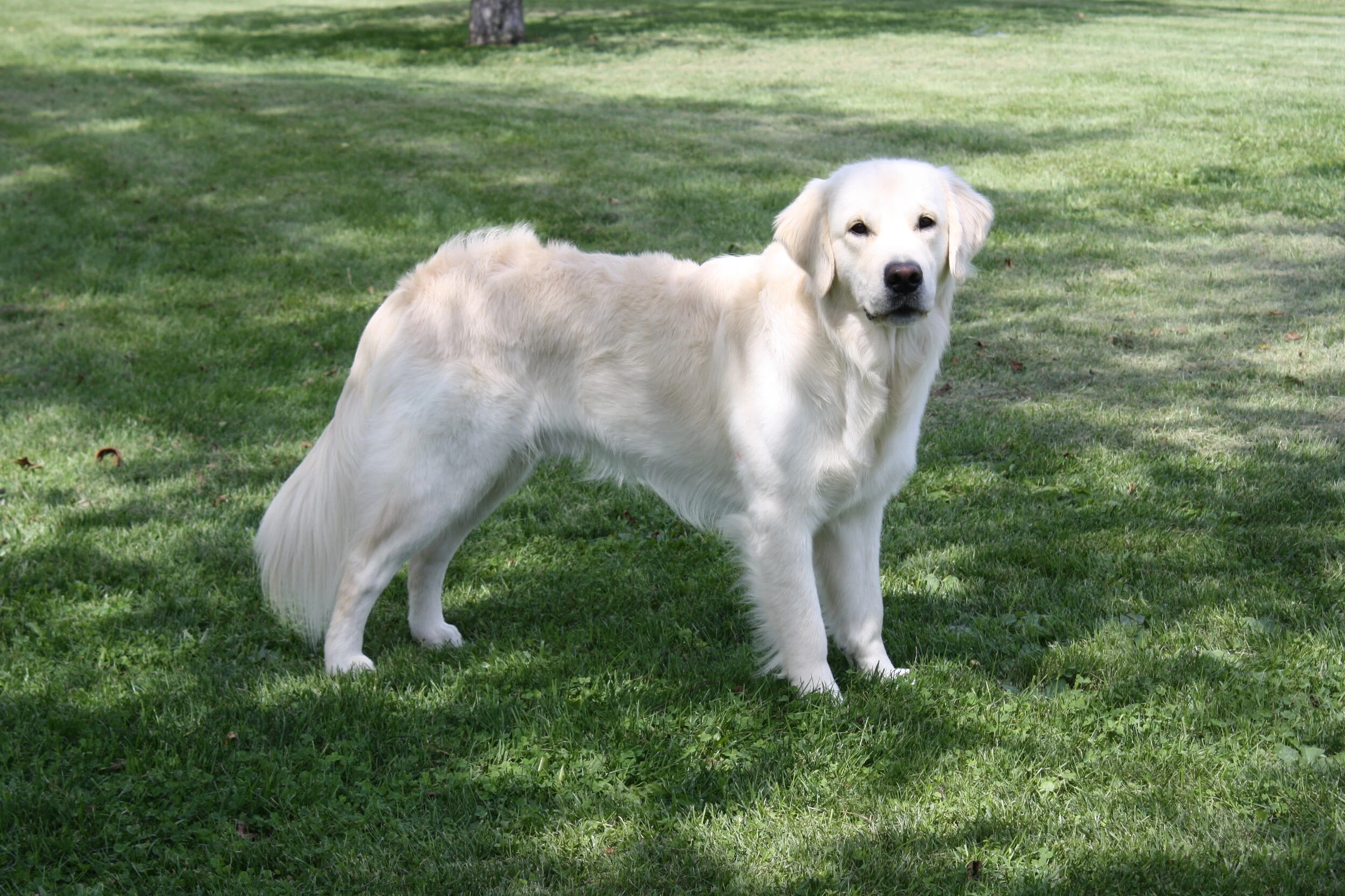 rudy and bugs 010.jpg