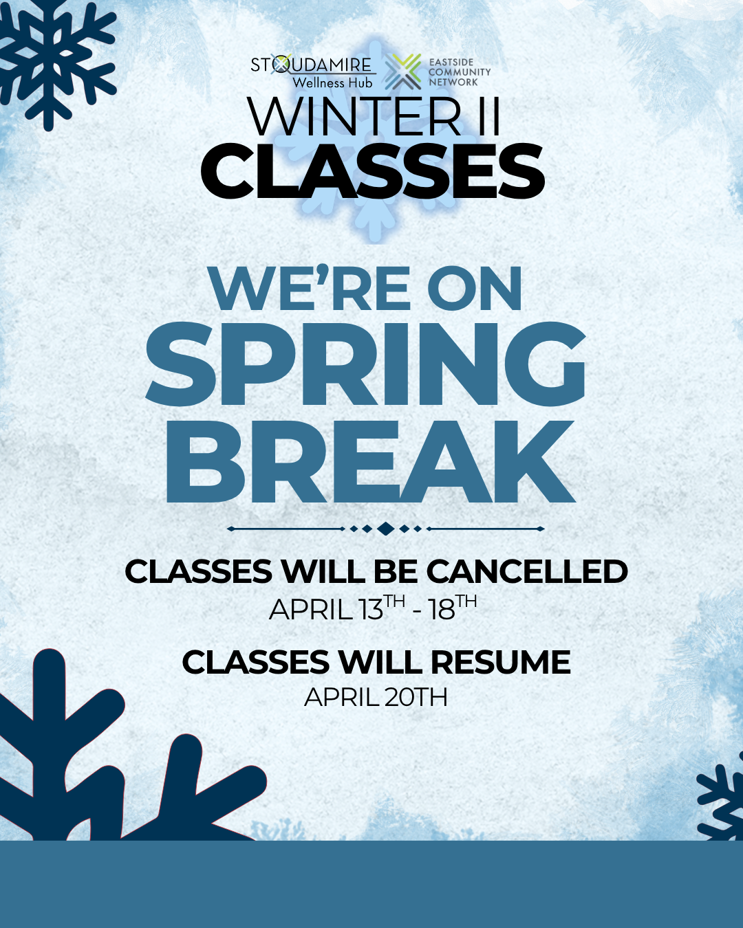 Stoudamire Spring Break