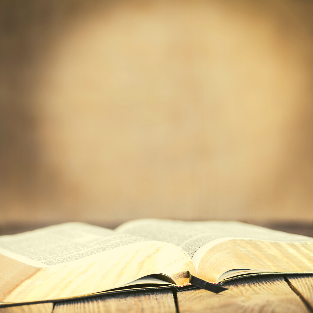 Digital Bibles For Audio Note Taking — Legacy Bible Rebinders