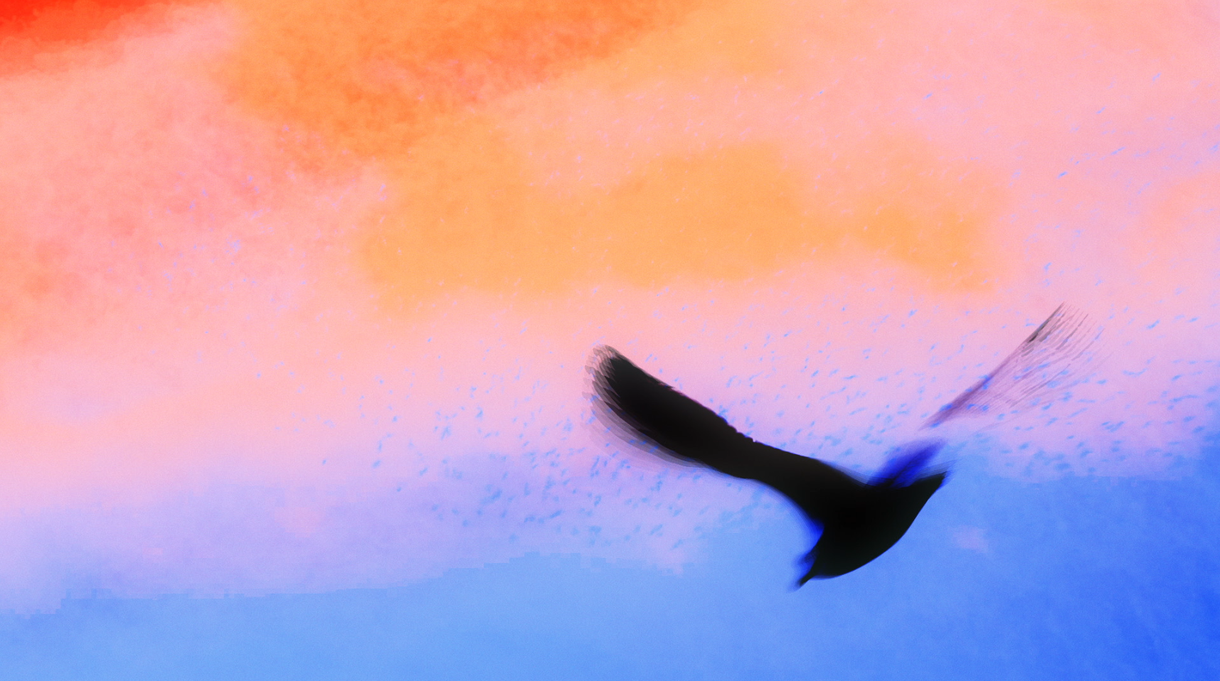 Nuees2©MyriamBoucher.png