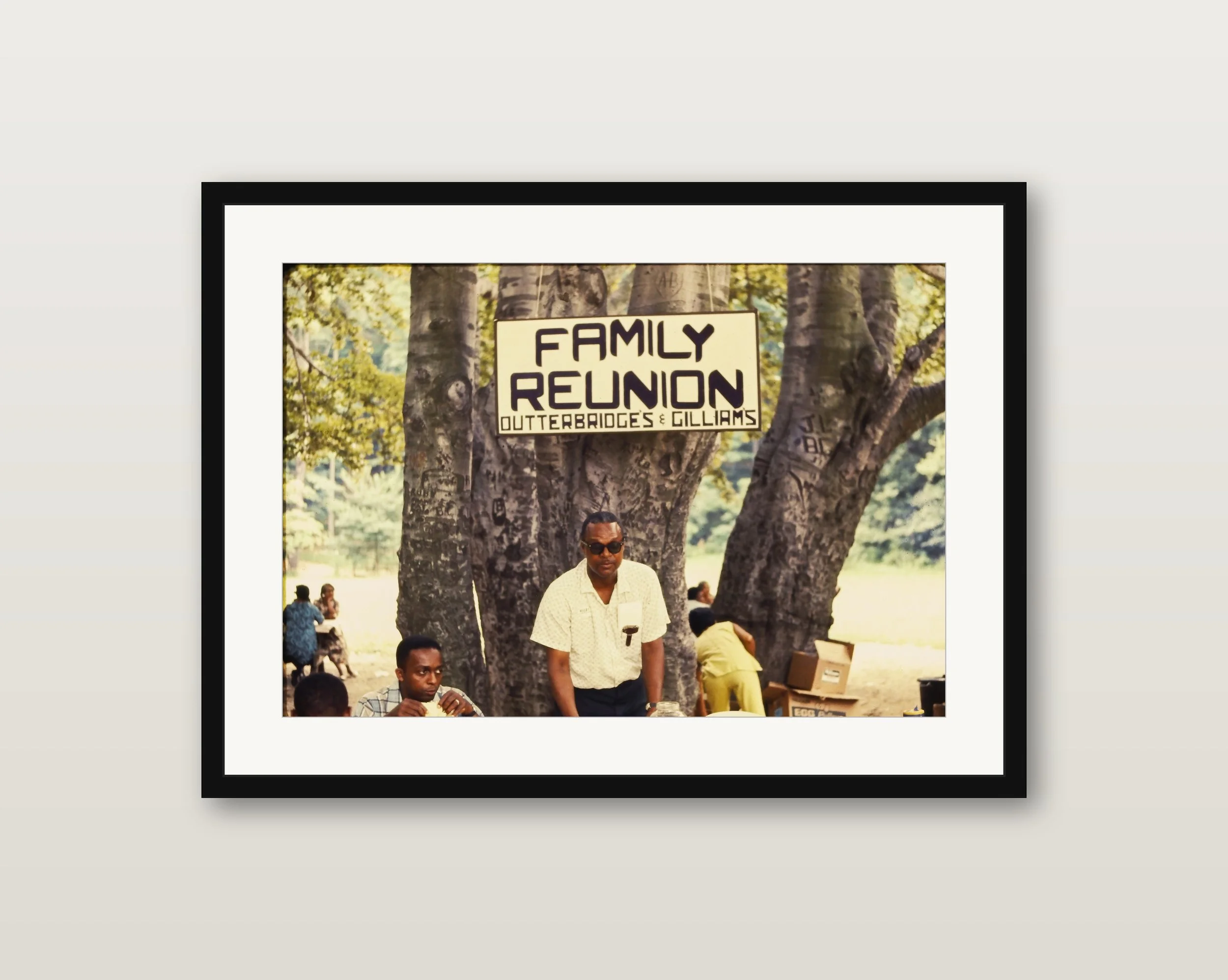 What's a Family Reunion? 13x19 Exhibition Print