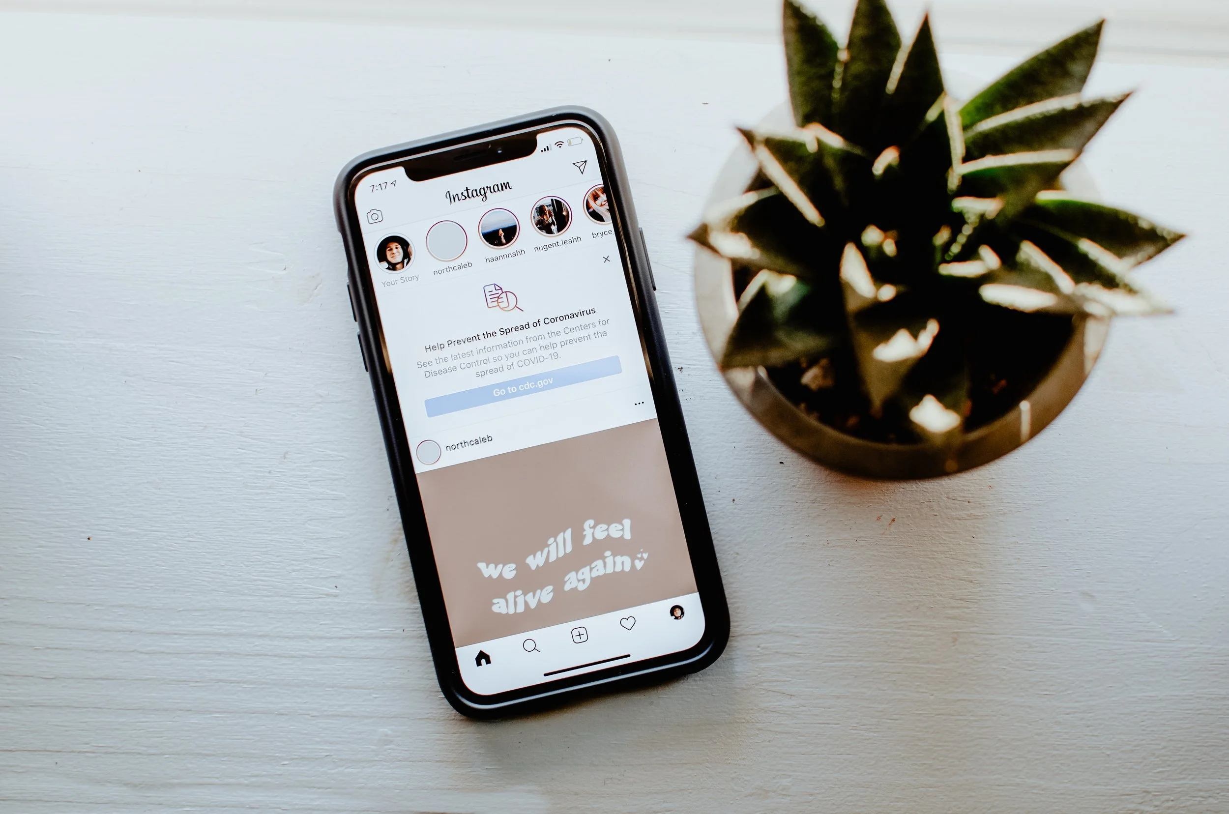 Instagram Formats & Their Purpose
