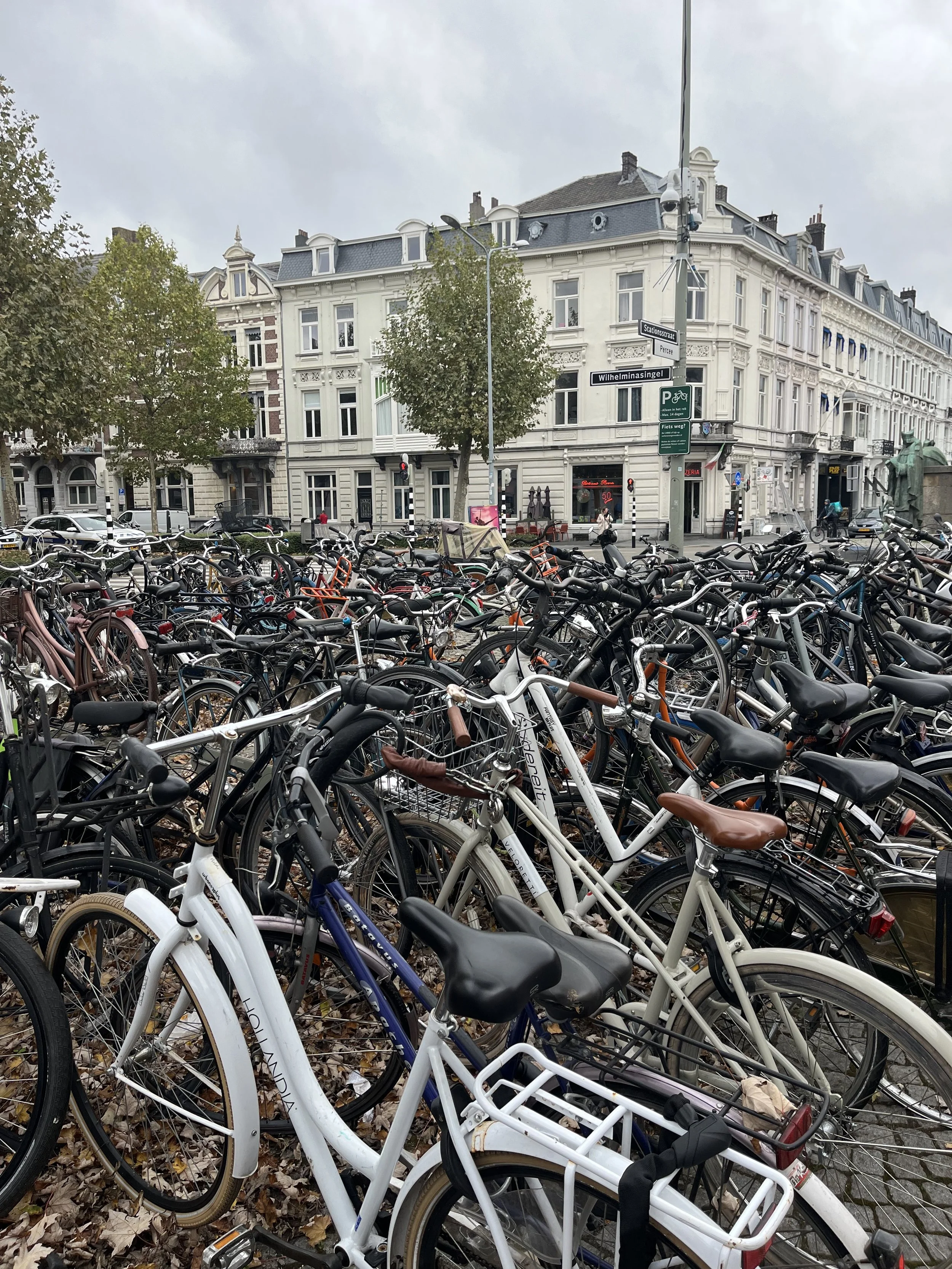 Surviving Winter as a Former Expat in the Netherlands