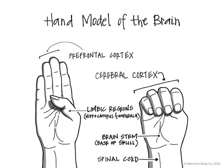Reclaiming the Pen When Your Hands are Shaking: Taking Authorship of Your Life Requires Feeling Safe
