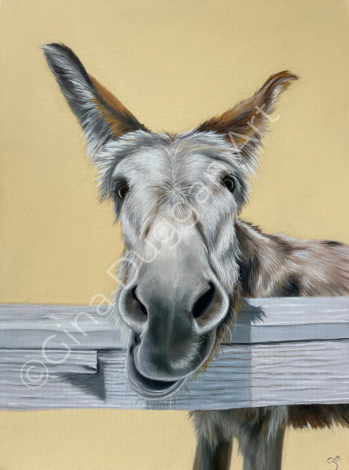 DONKEY