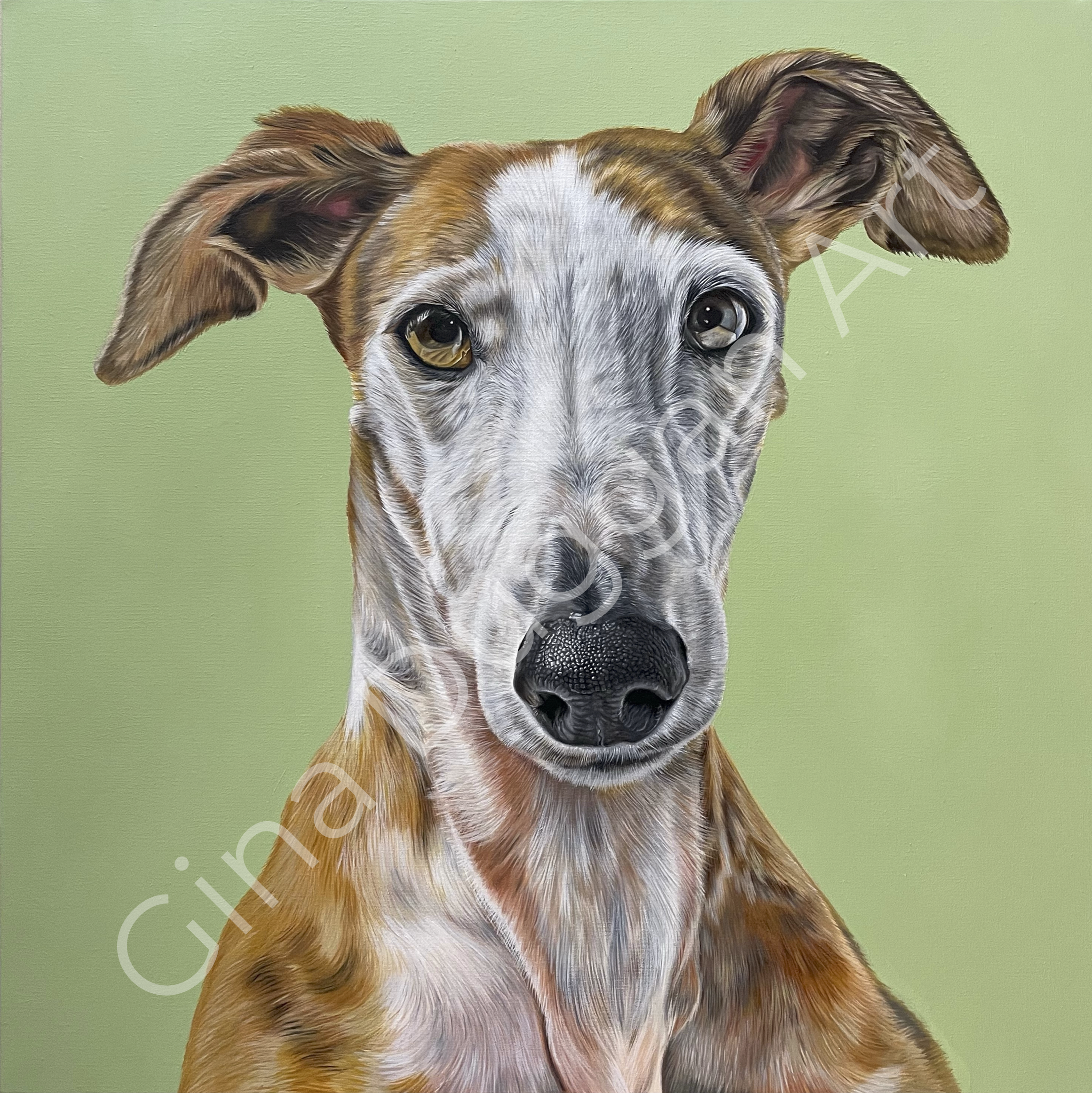 Galgo GD wm.png