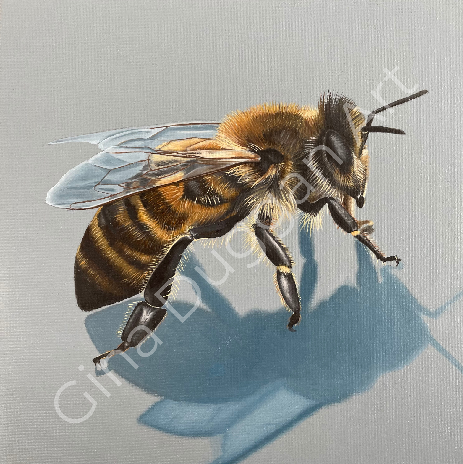 HONEY BEE