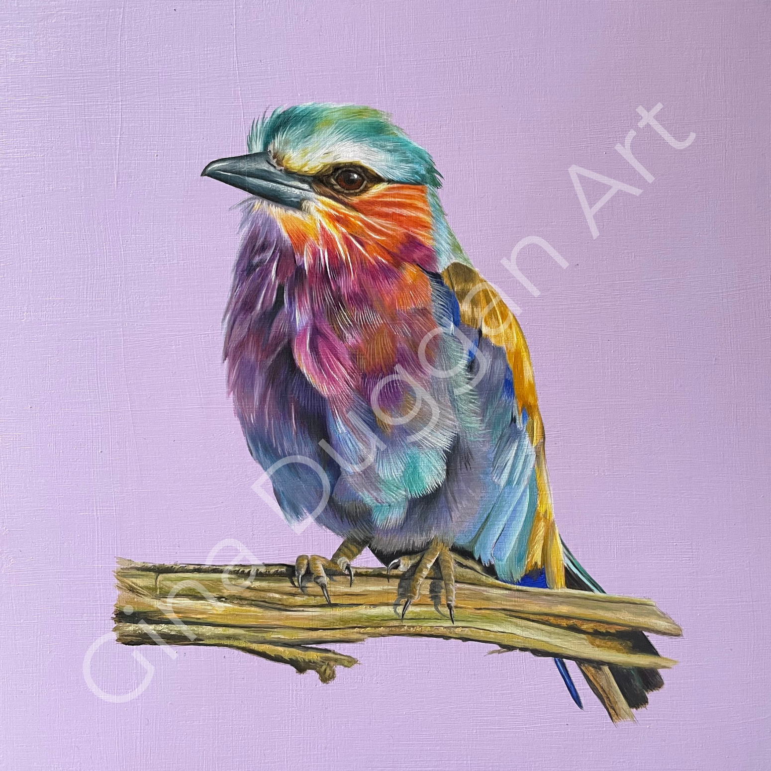 LILAC BREASTED ROLLER