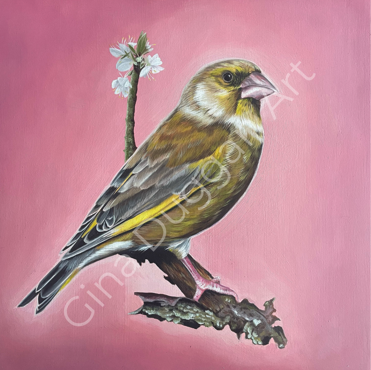 GREENFINCH