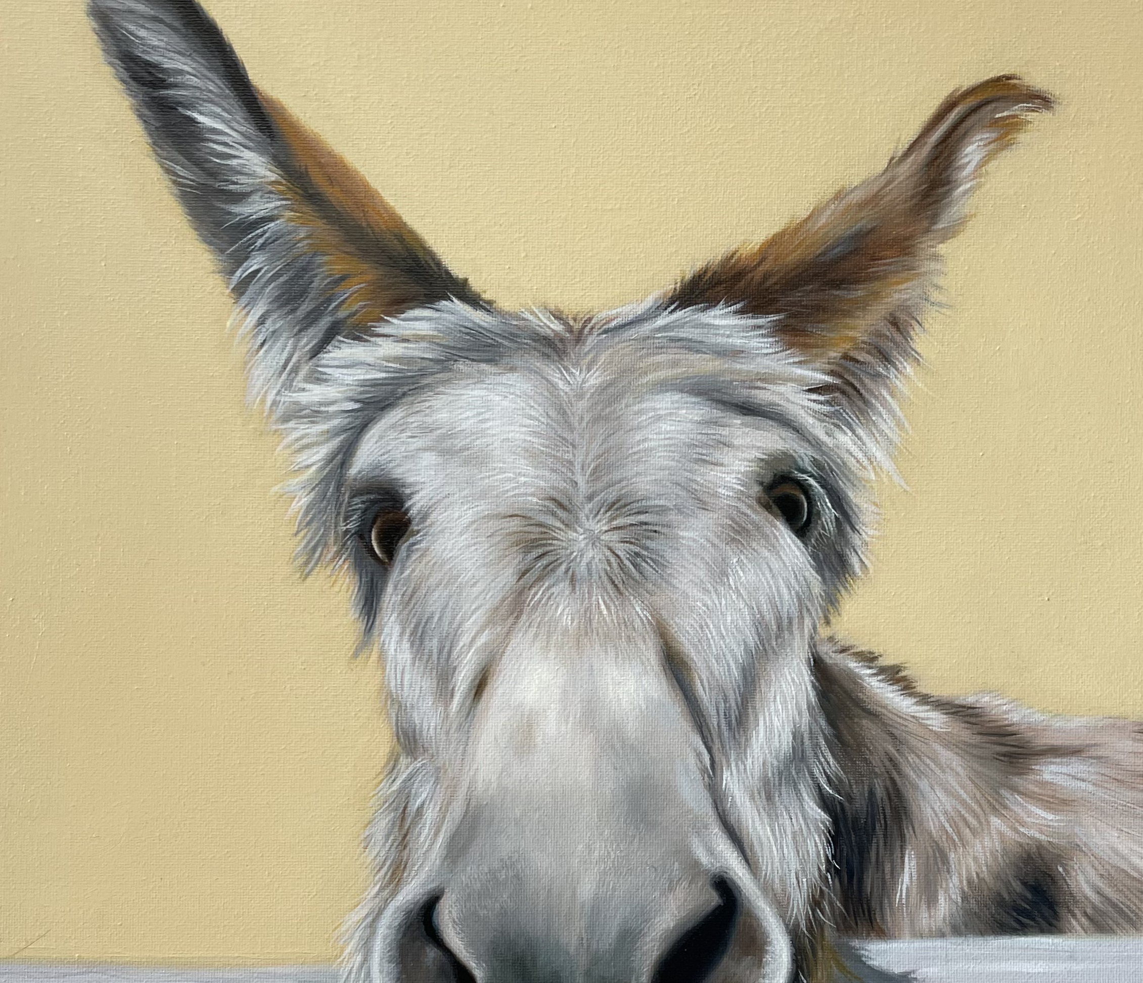 Donkey cropped.png