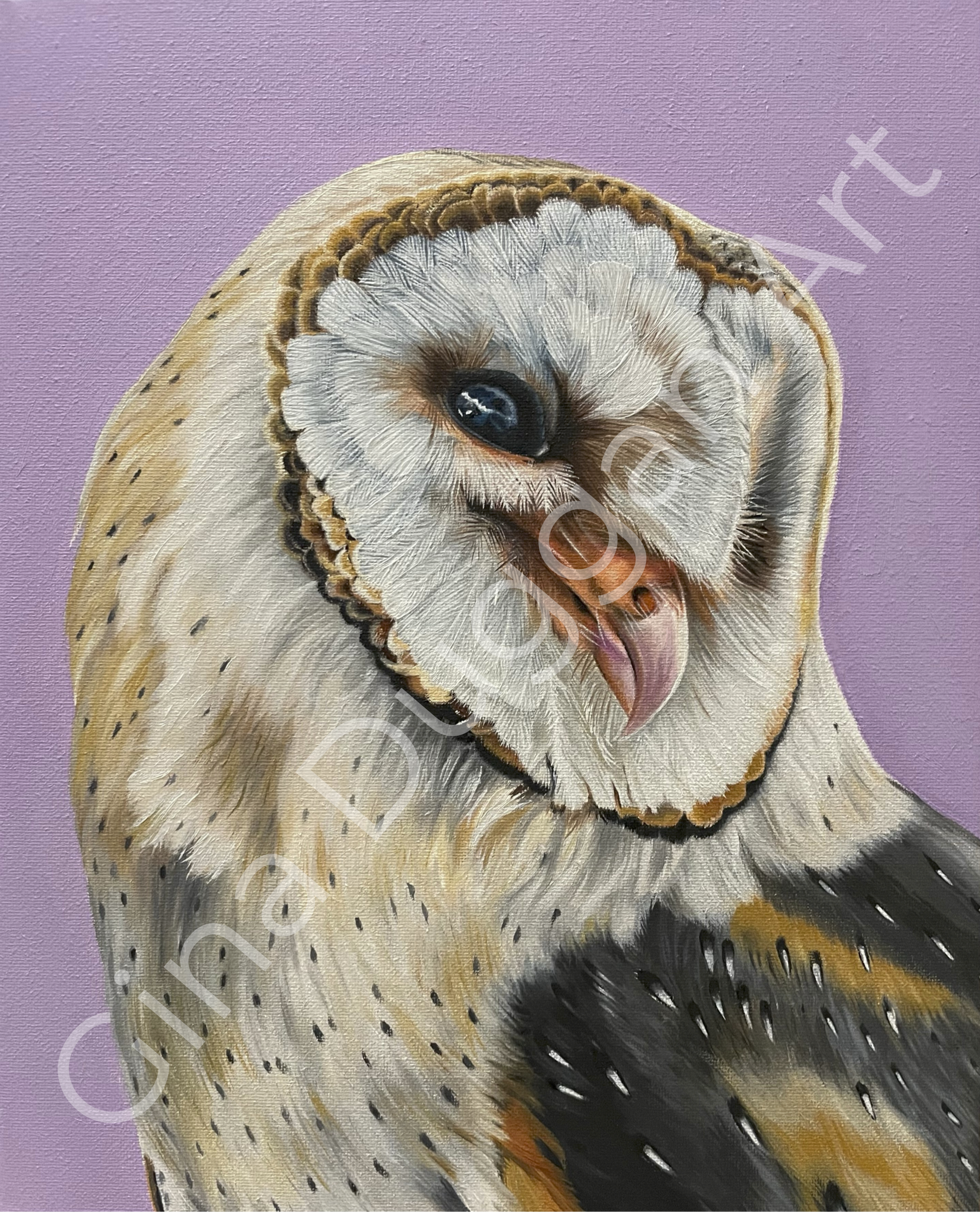 THE OWL TRIANGLE
