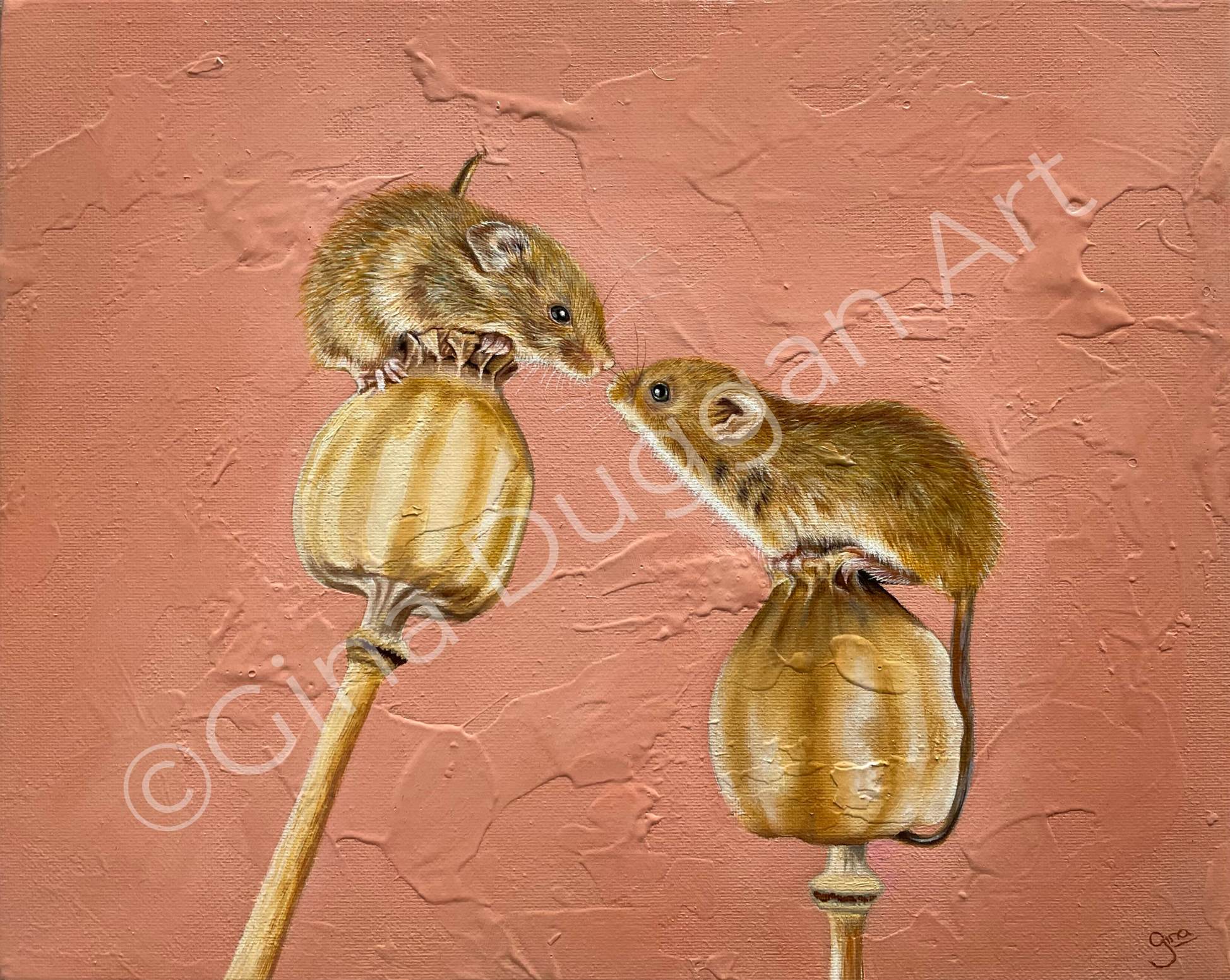 FIELD MICE