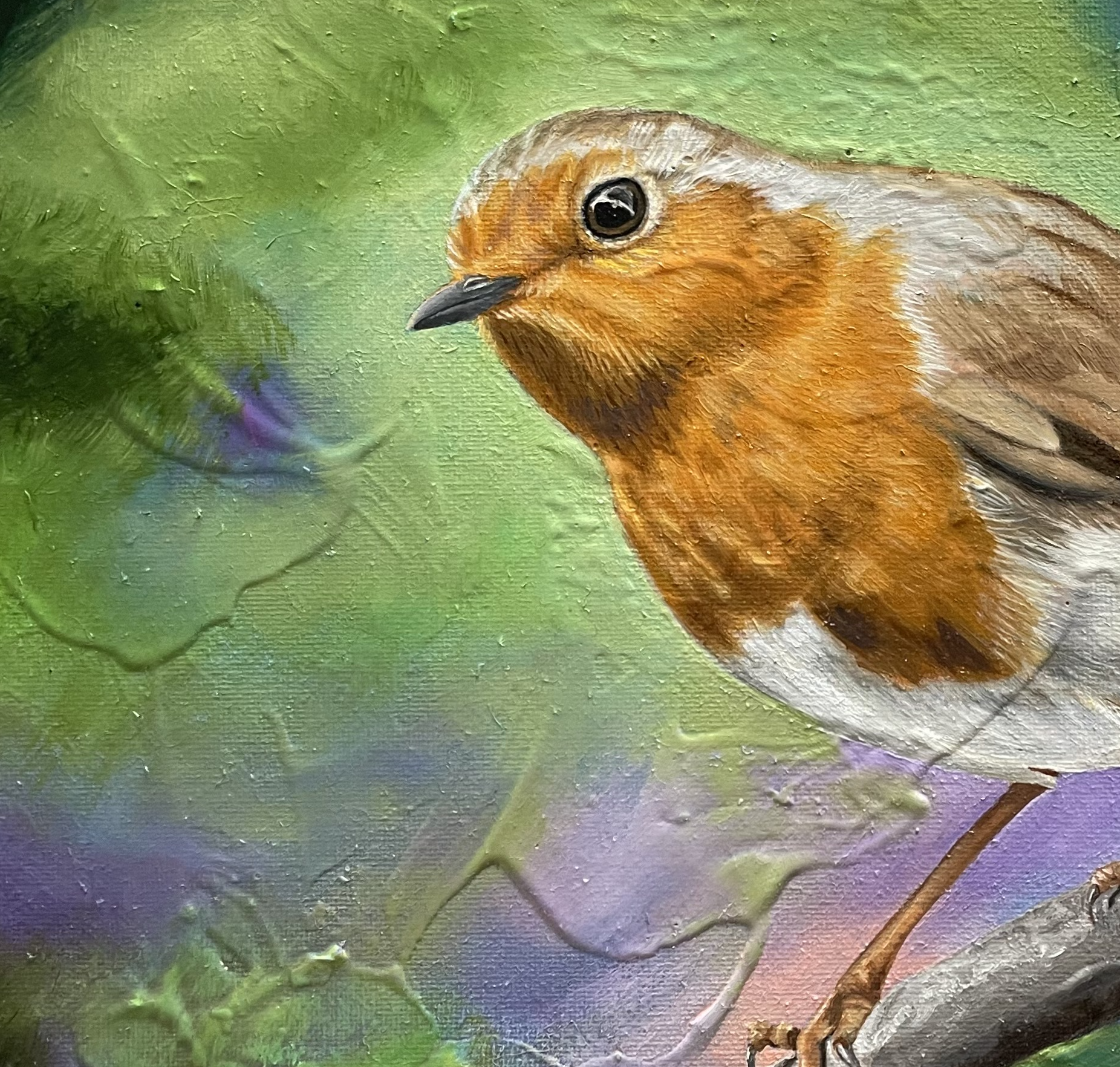 Robin in situ 2.png