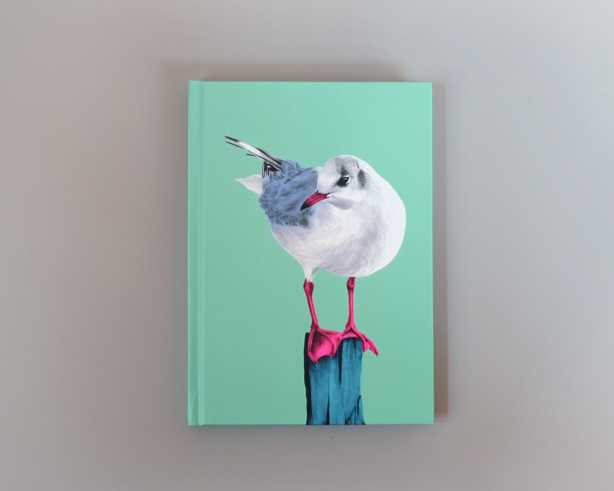 A5-notebook-grayson-gull-aquam-front6.jpg