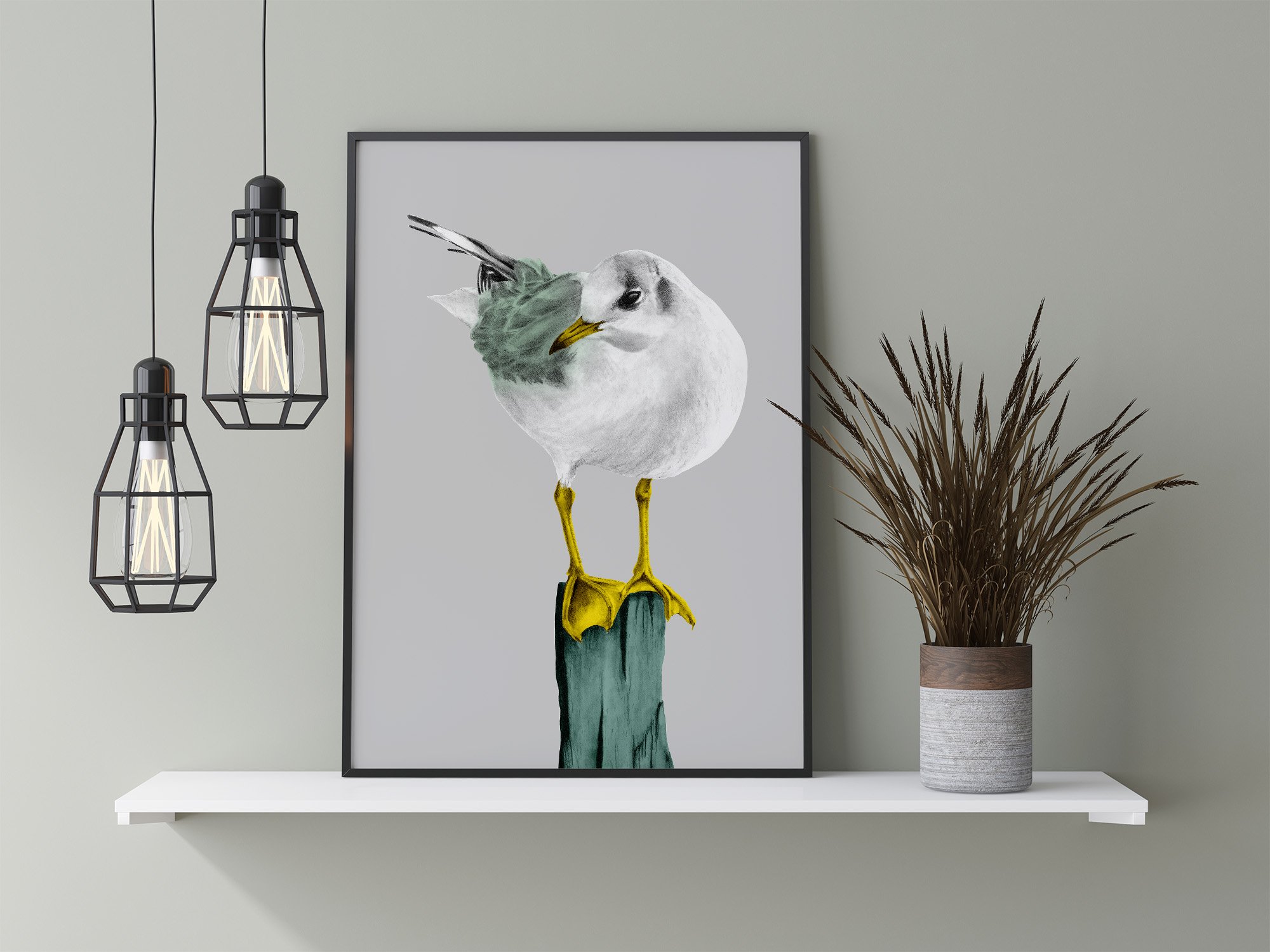 seagull-grey-456.jpg